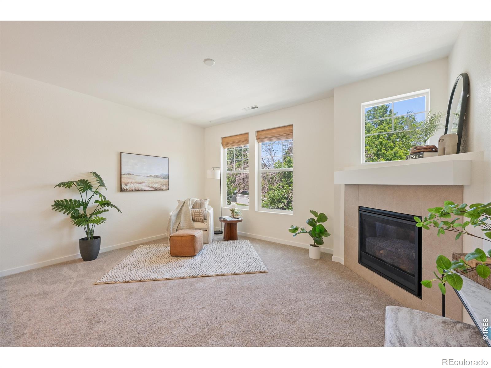 MLS Image #3 for 12883  king street,broomfield, Colorado