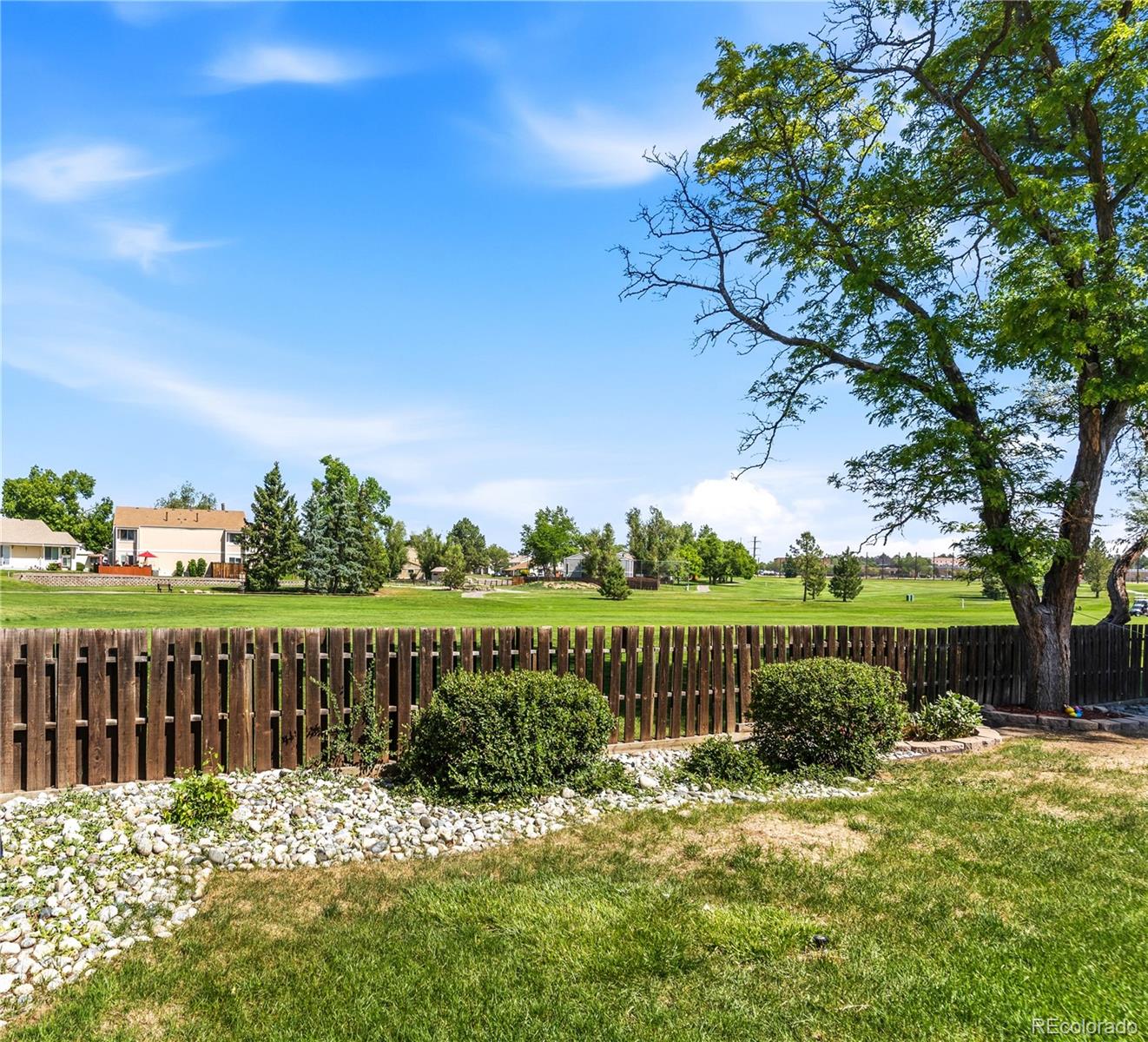 MLS Image #8 for 8369  otis drive,arvada, Colorado