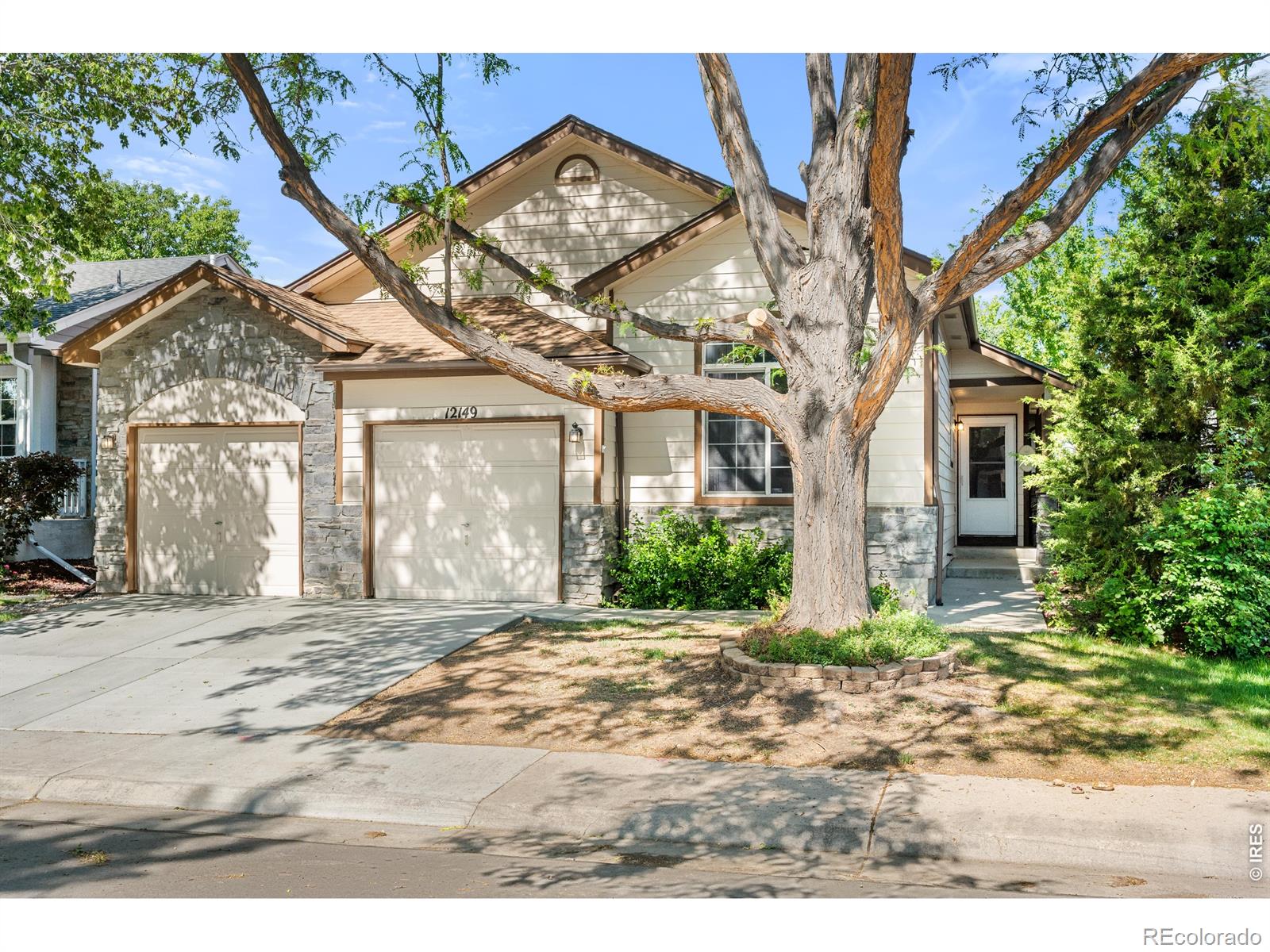 MLS Image #1 for 12149  sunflower street,broomfield, Colorado