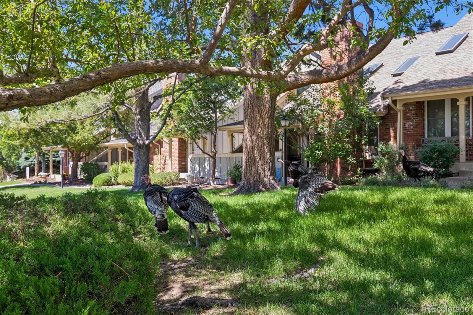 MLS Image #36 for 2913 w long circle,littleton, Colorado