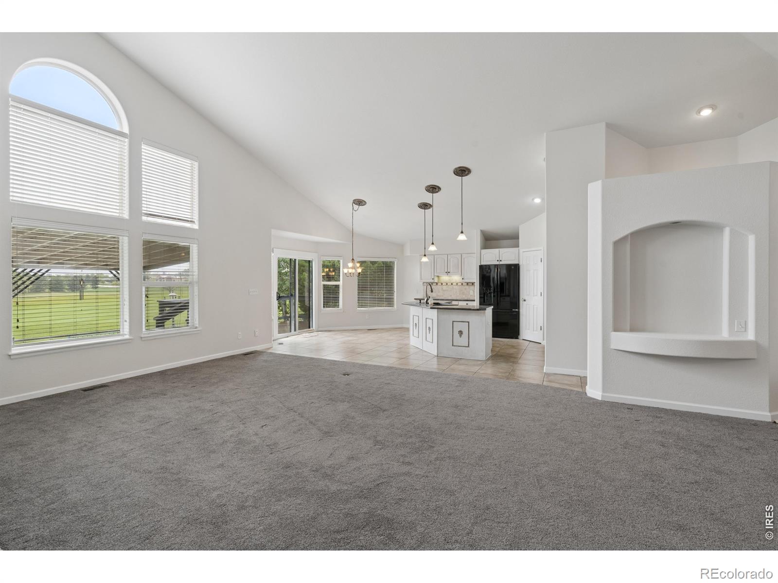 MLS Image #8 for 6766  salvia court,arvada, Colorado