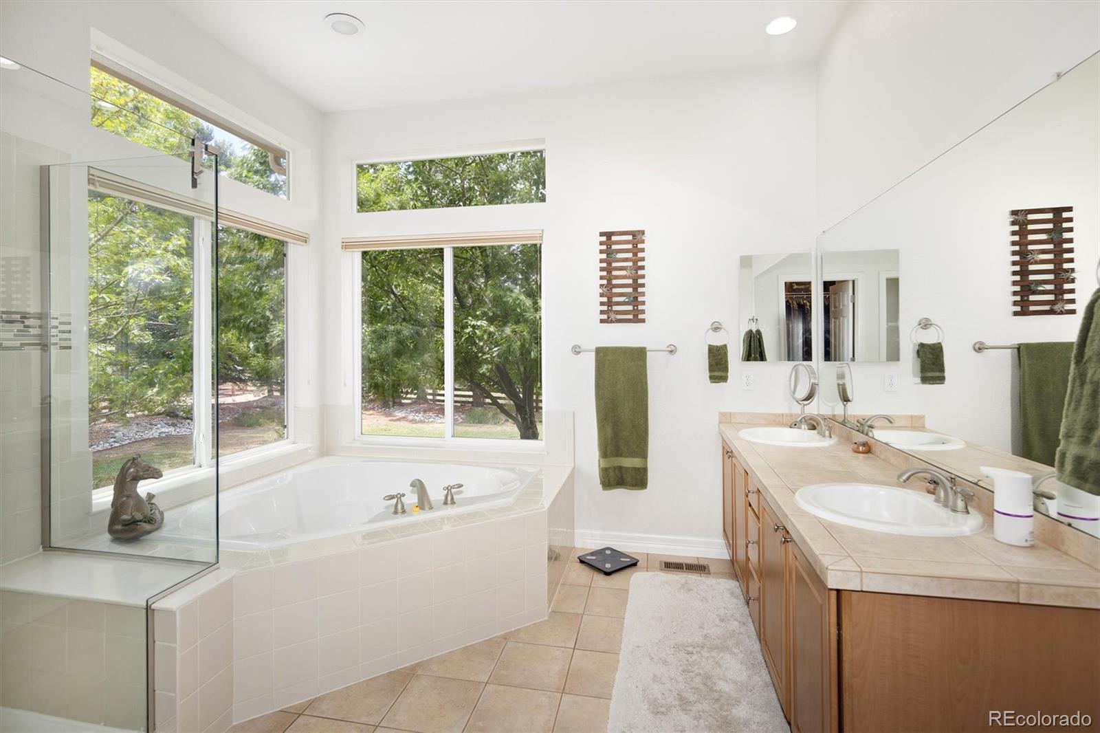 MLS Image #19 for 5379  streambed trail,parker, Colorado