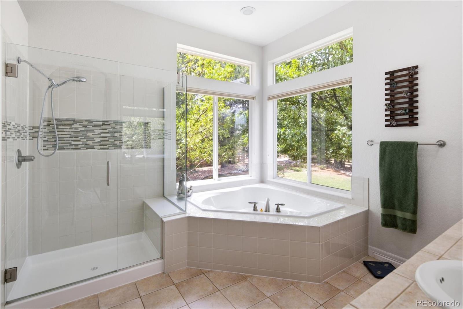 MLS Image #20 for 5379  streambed trail,parker, Colorado
