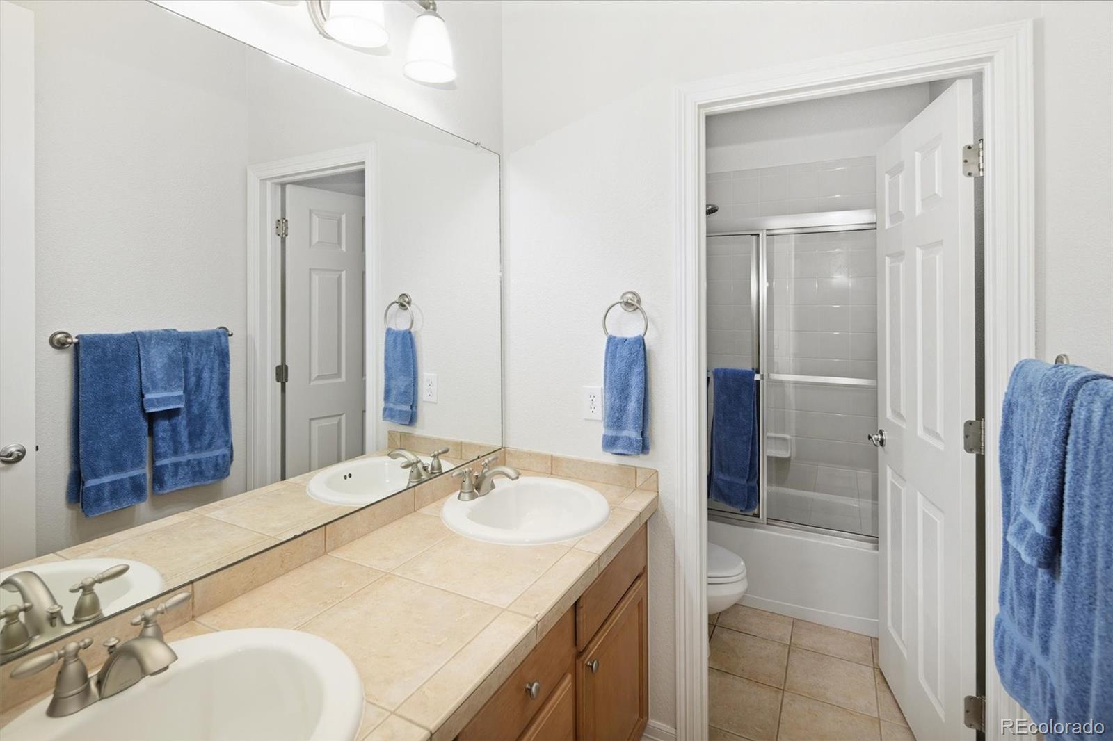 MLS Image #23 for 5379  streambed trail,parker, Colorado