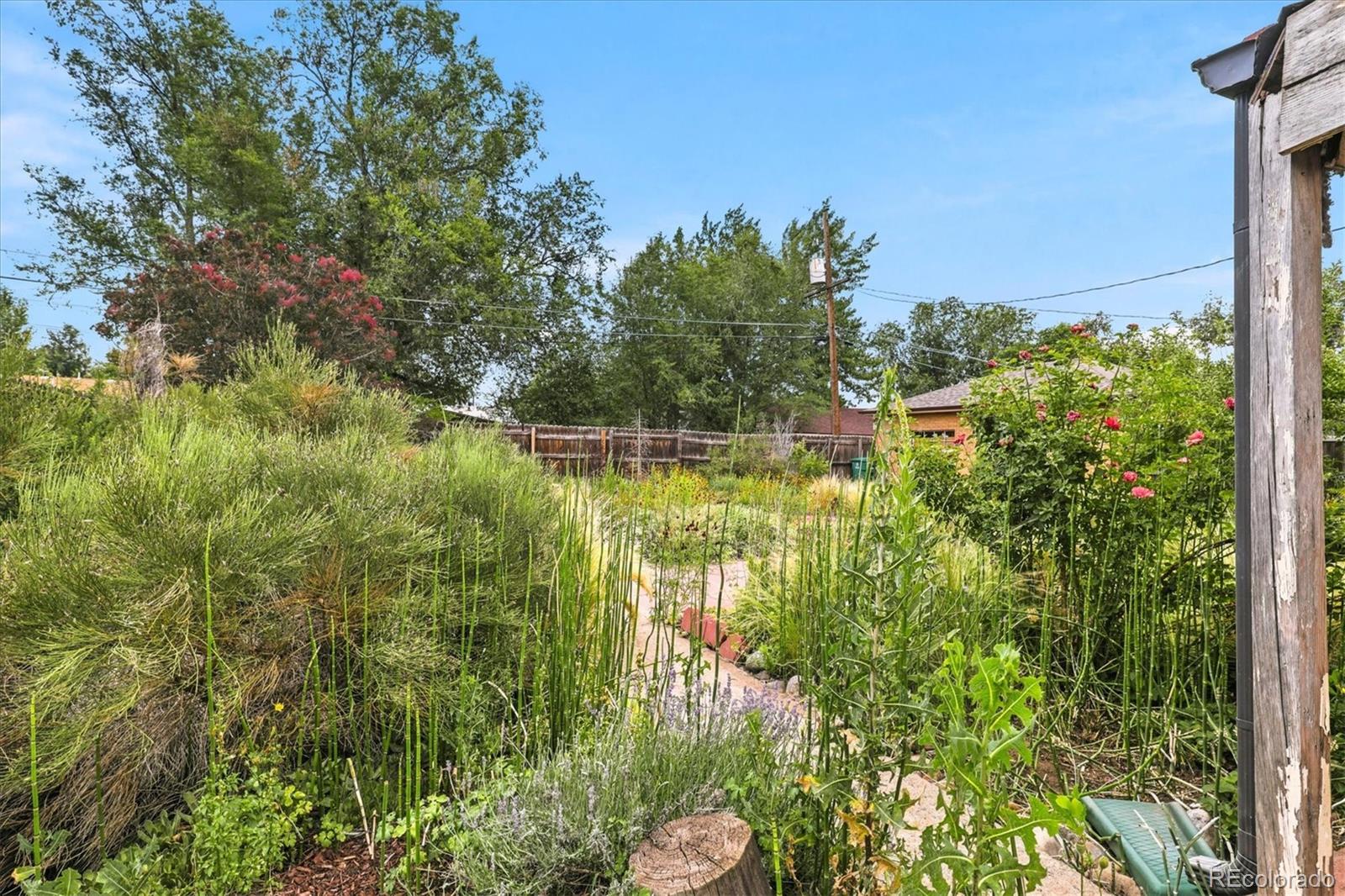 MLS Image #28 for 1260 s winona court,denver, Colorado