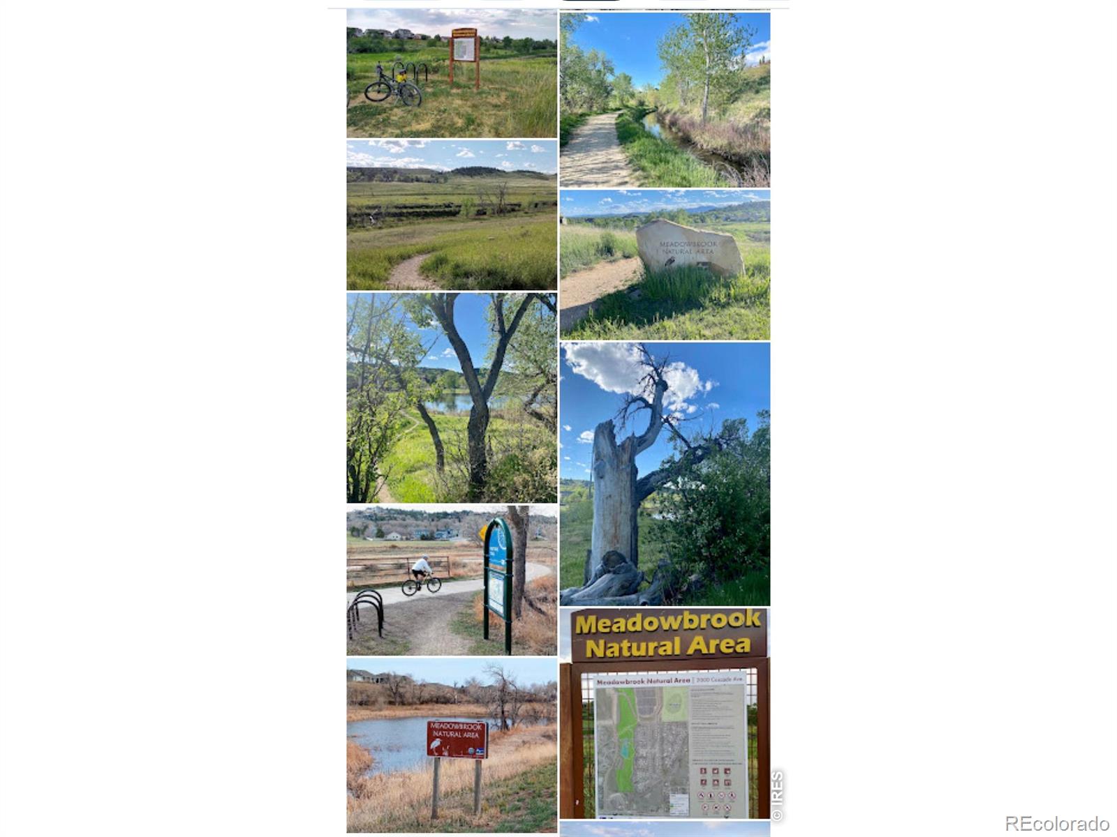 MLS Image #48 for 3653  parlin court,loveland, Colorado