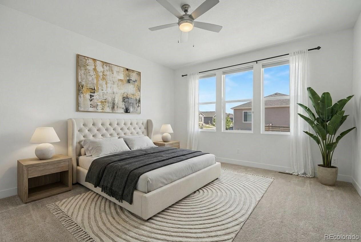 MLS Image #6 for 6639  enclave vista loop,colorado springs, Colorado