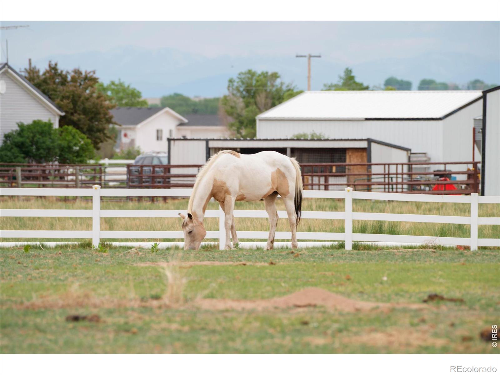 MLS Image #44 for 33669  county road 61.75 ,gill, Colorado