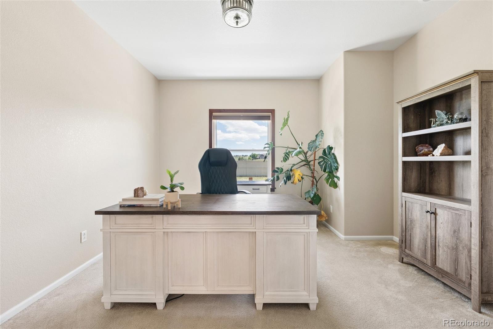 MLS Image #11 for 11774  pine hill street,parker, Colorado
