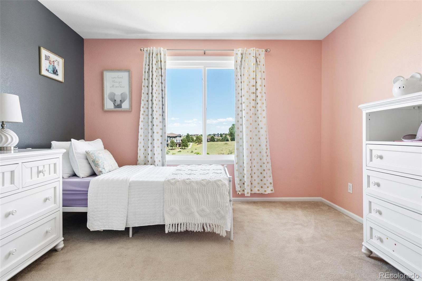 MLS Image #18 for 11774  pine hill street,parker, Colorado