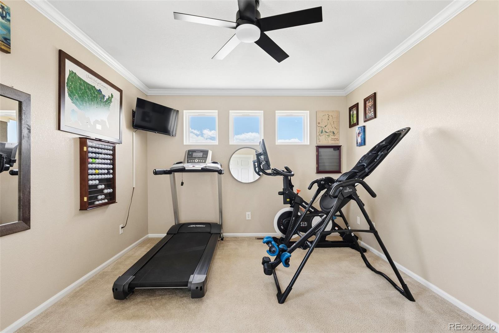 MLS Image #19 for 11774  pine hill street,parker, Colorado