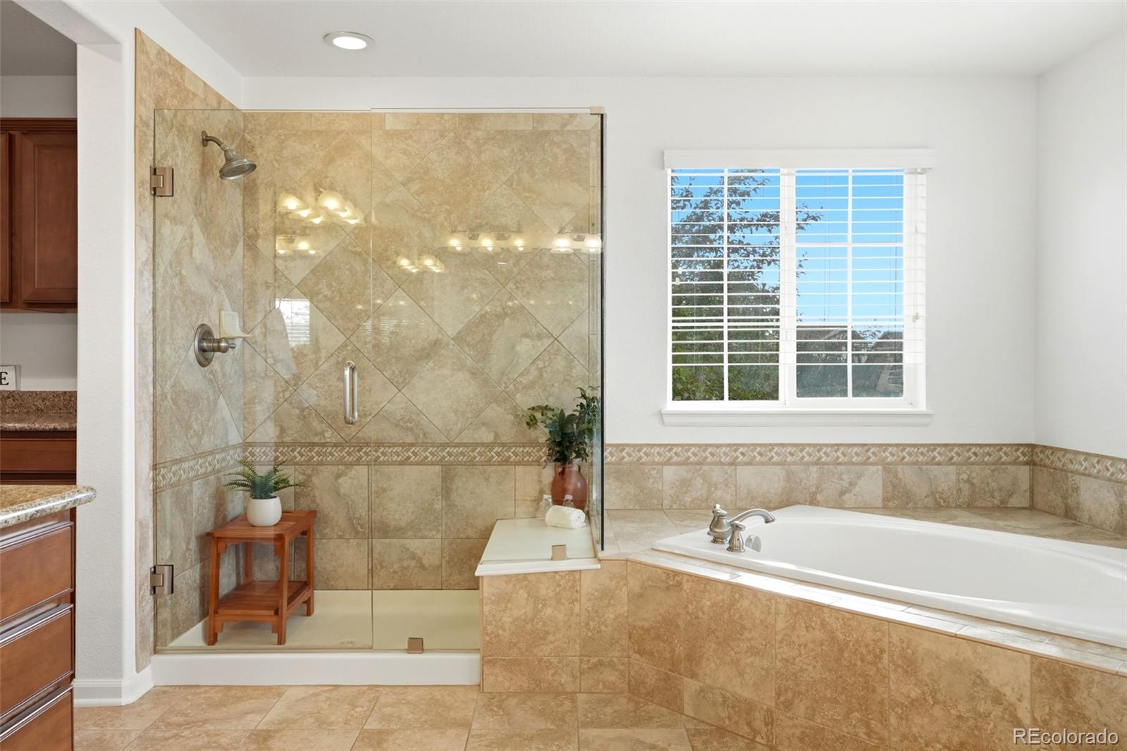 MLS Image #27 for 14042  lexington drive,parker, Colorado