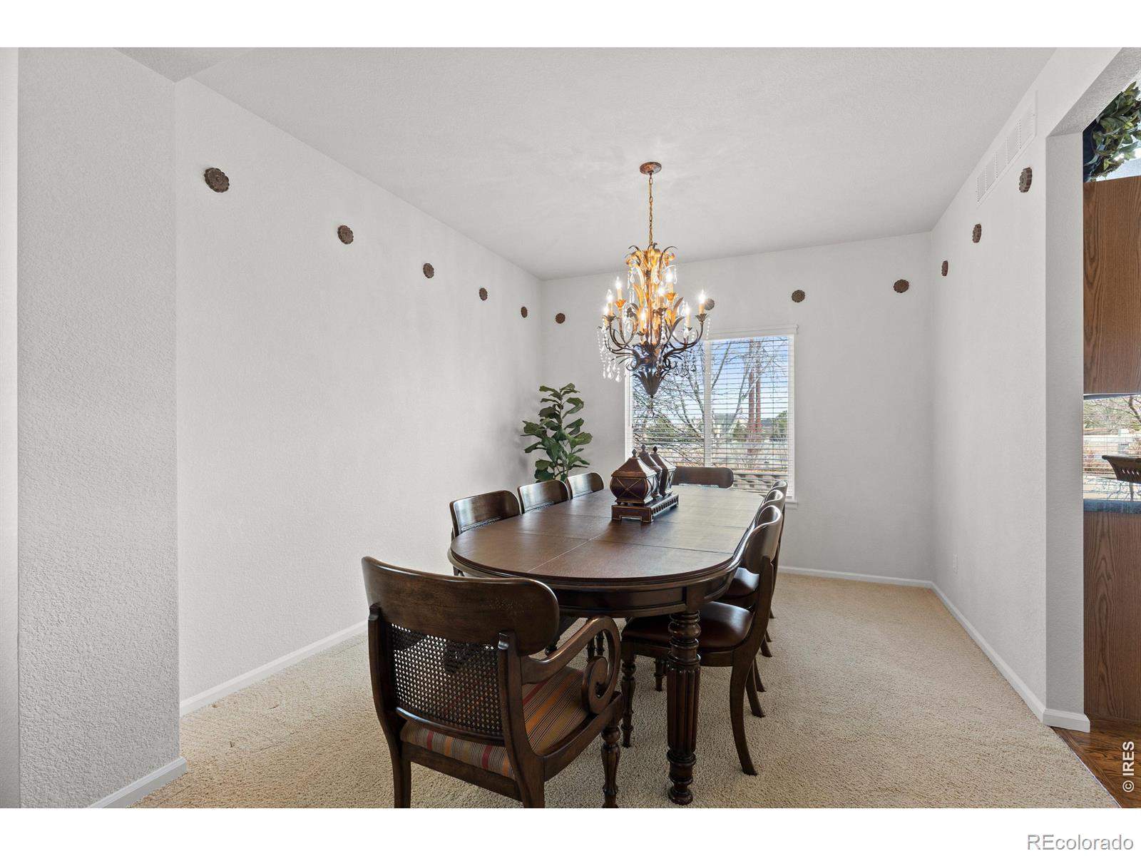 MLS Image #9 for 8316  briar ridge drive,castle pines, Colorado