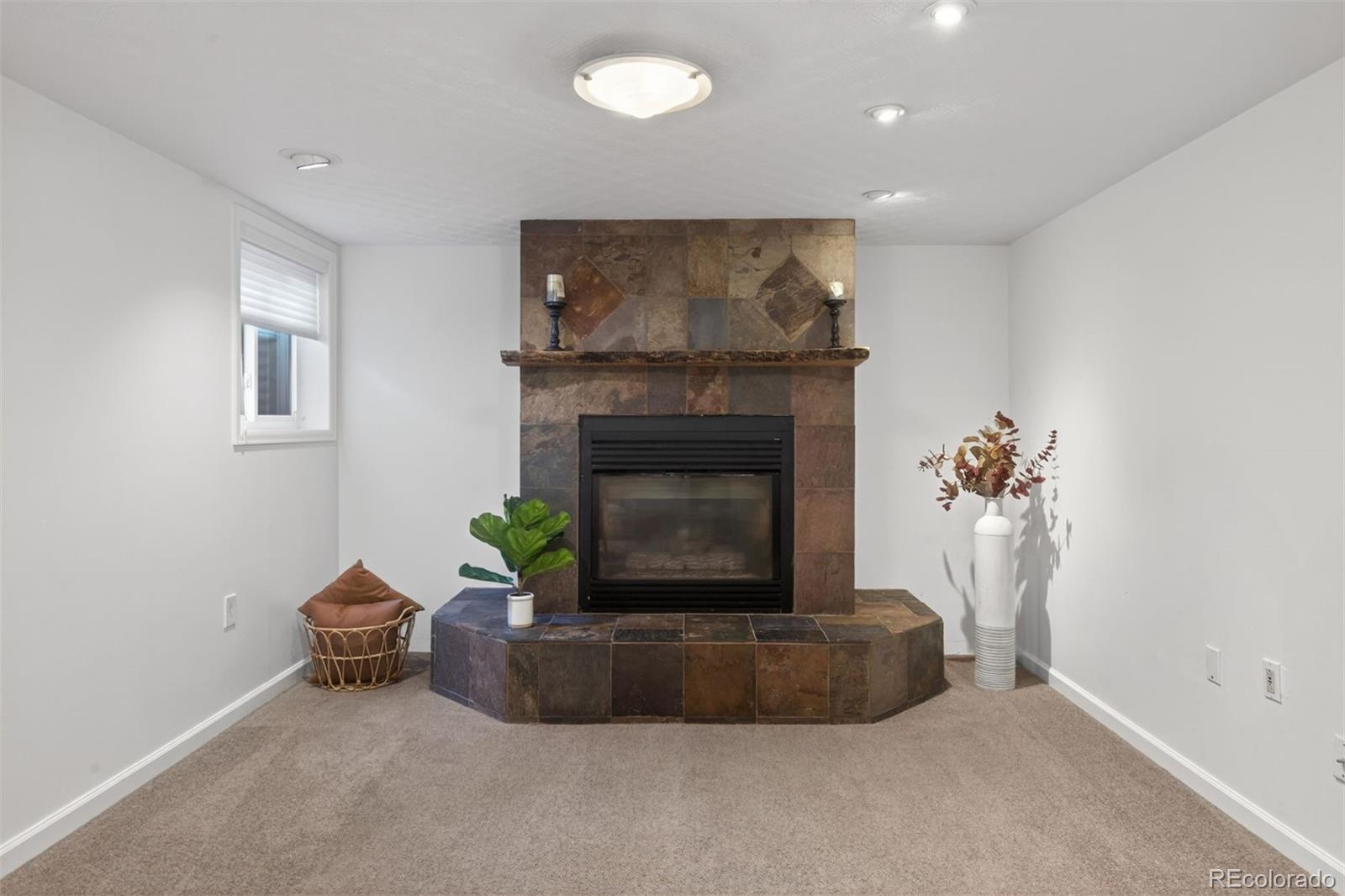 MLS Image #20 for 7862 s vine street,centennial, Colorado