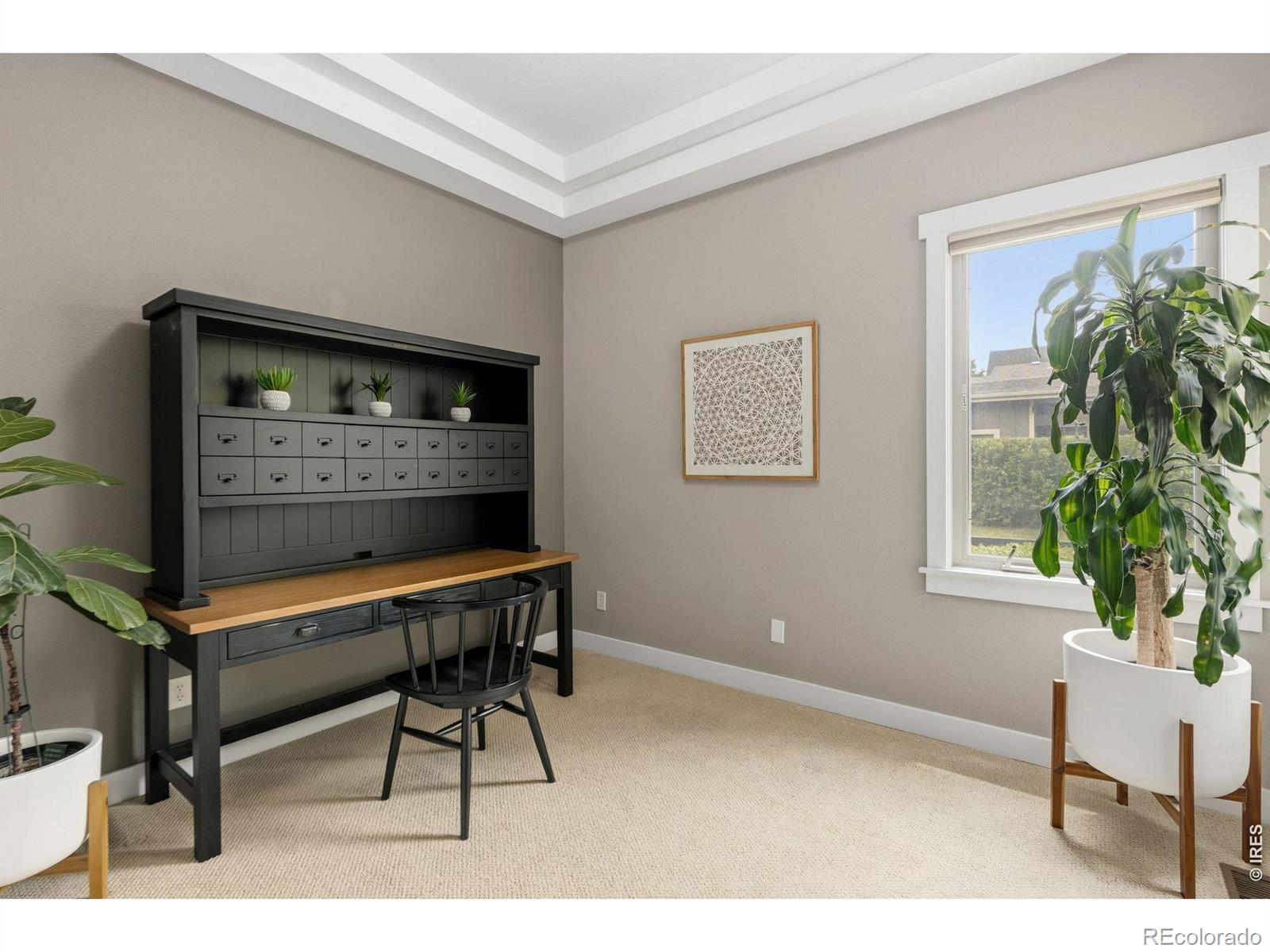 MLS Image #11 for 6515  aberdour circle,windsor, Colorado