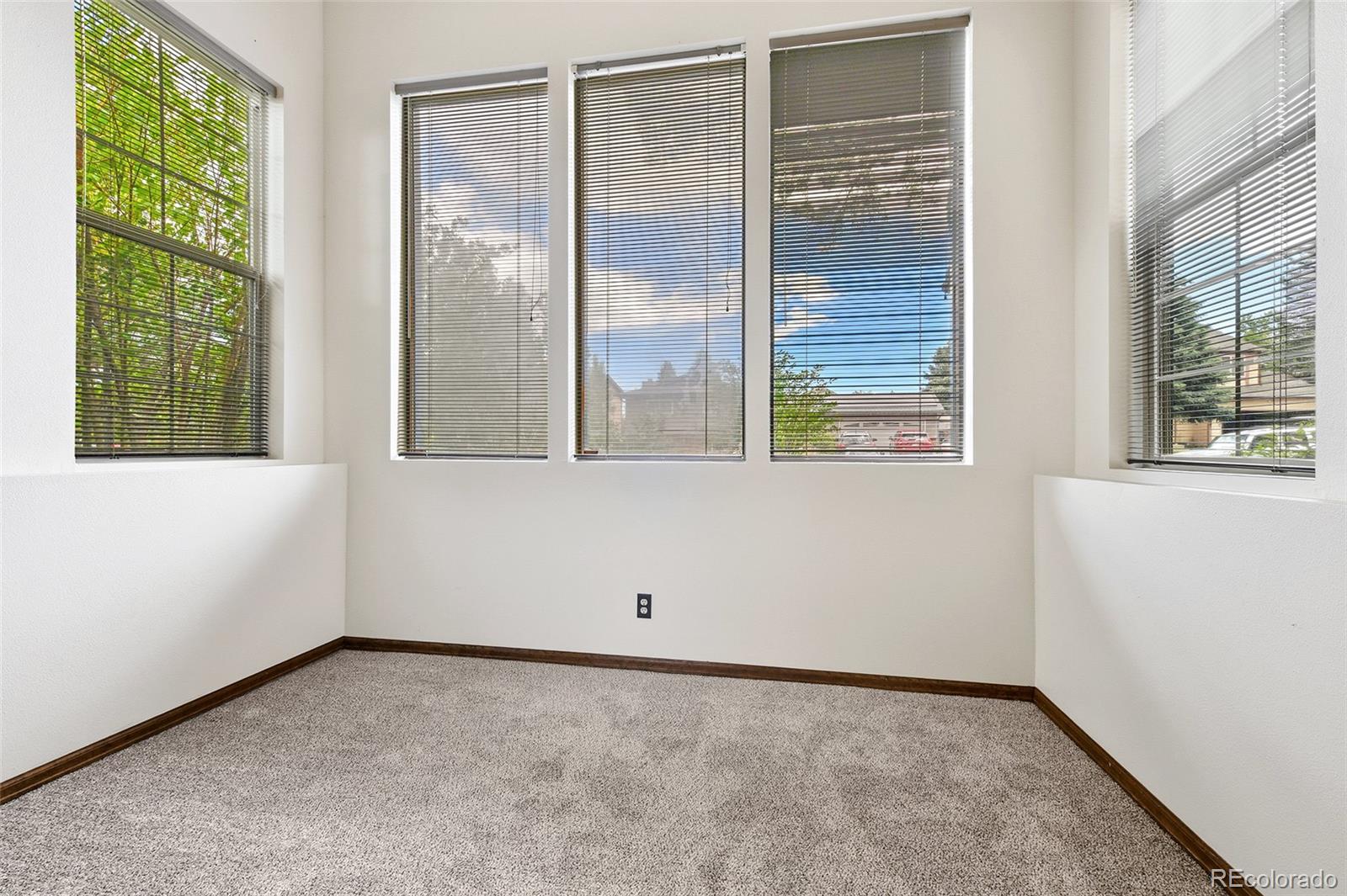 MLS Image #18 for 3835  thundercloud drive,colorado springs, Colorado