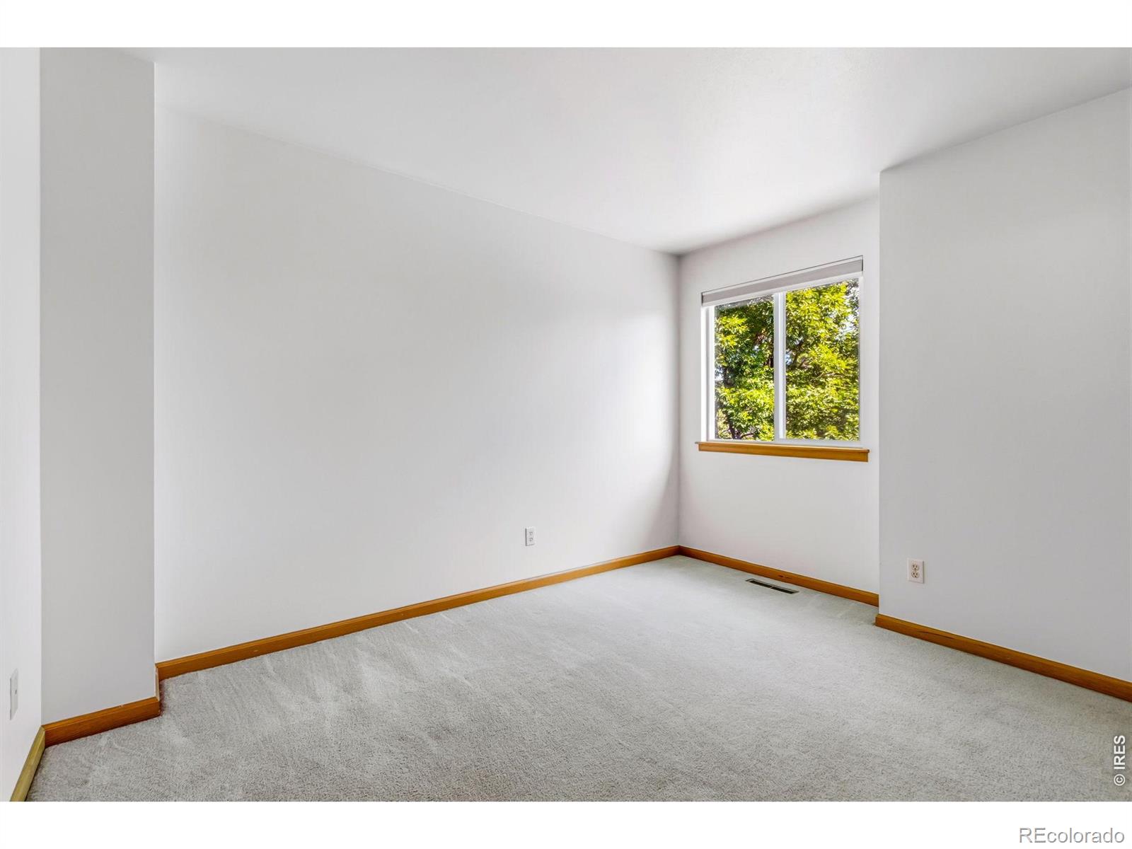 MLS Image #21 for 357  albion way,fort collins, Colorado