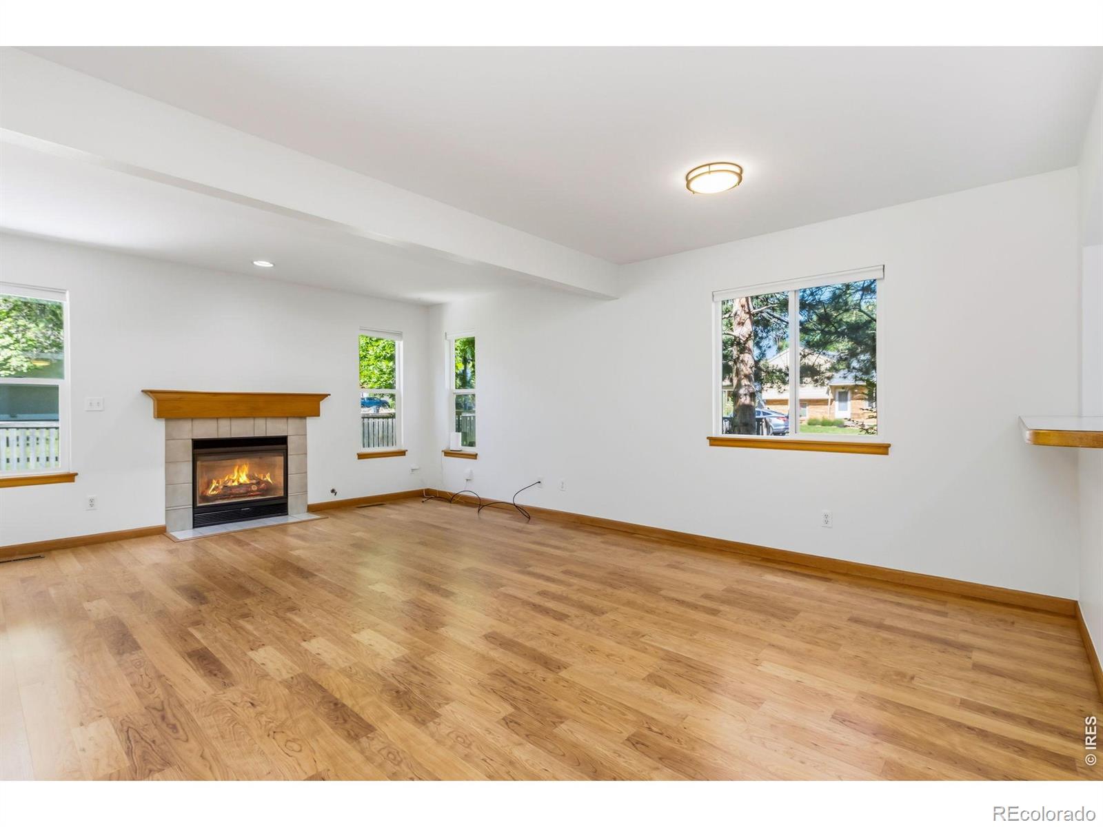 MLS Image #6 for 357  albion way,fort collins, Colorado