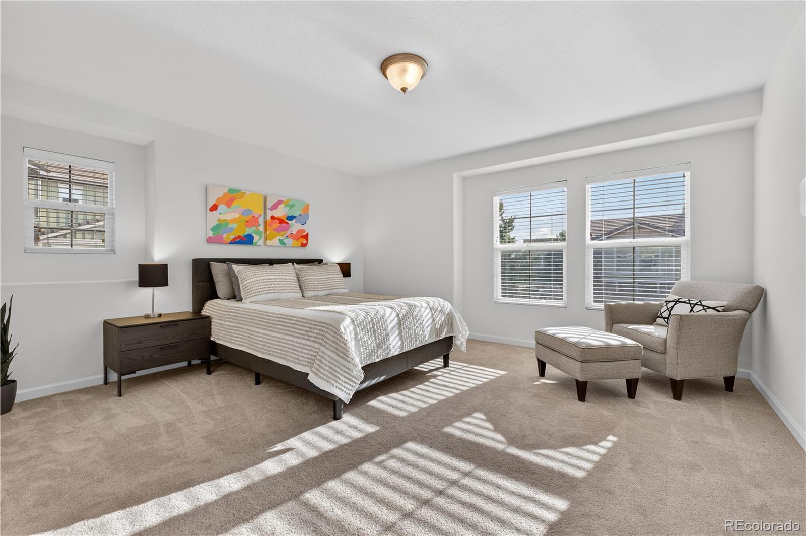 MLS Image #15 for 10072  amston street,parker, Colorado