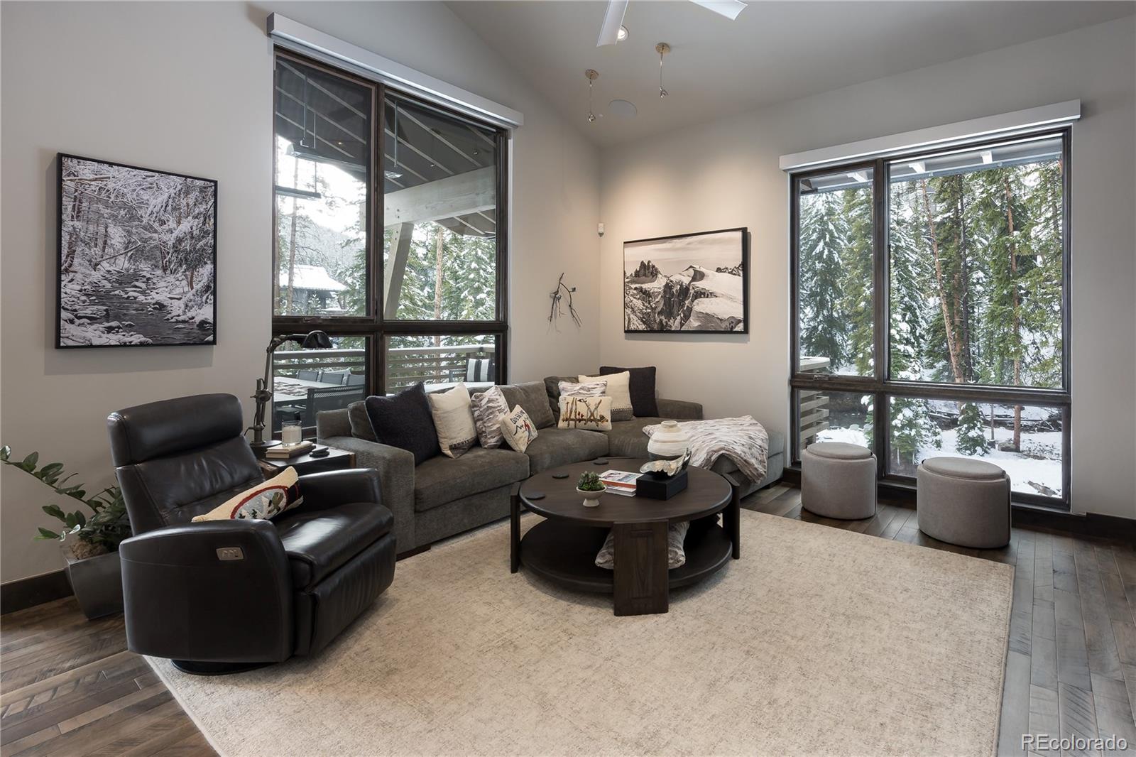 MLS Image #12 for 273  river park drive ,breckenridge, Colorado