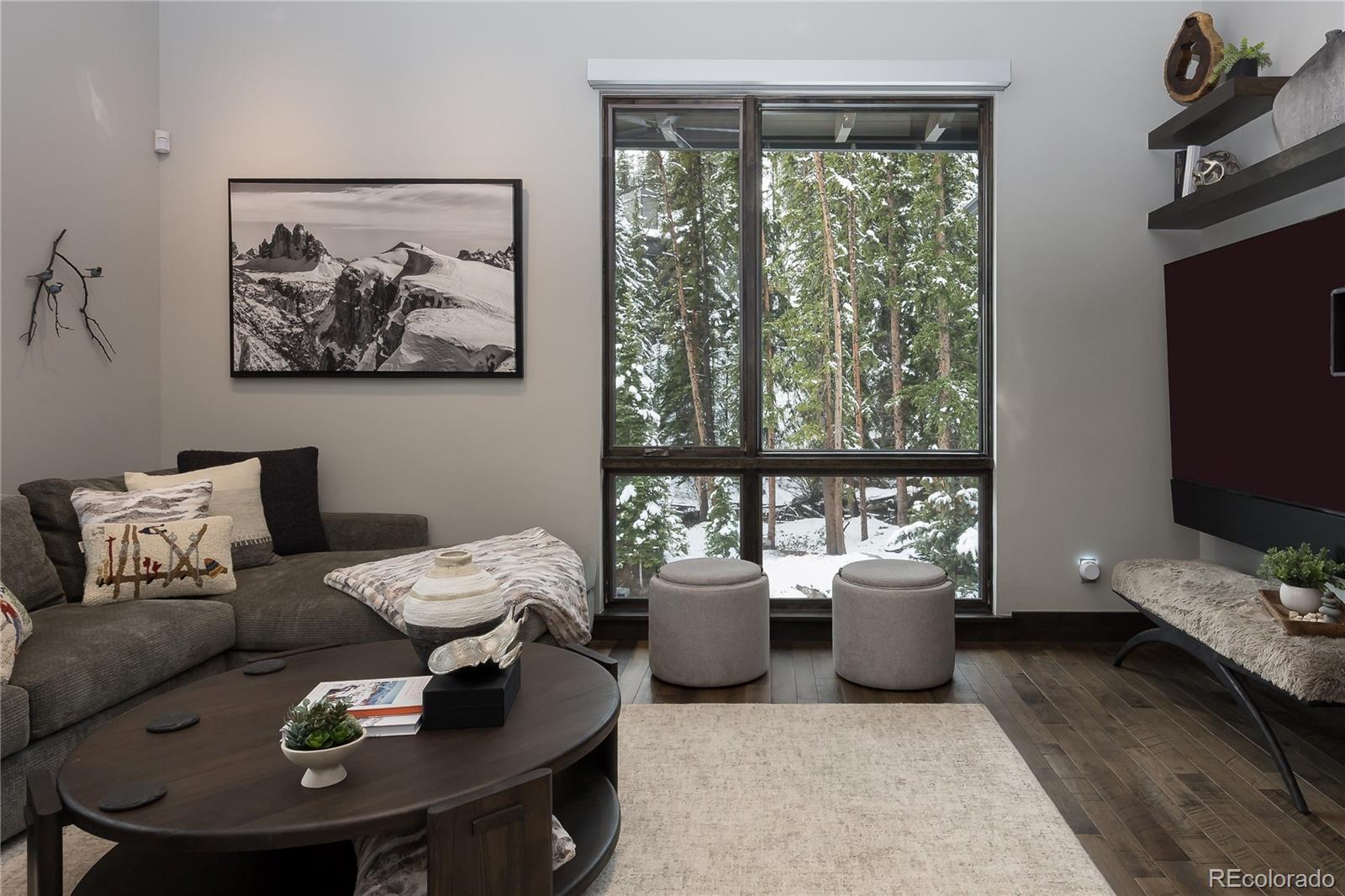 MLS Image #13 for 273  river park drive ,breckenridge, Colorado