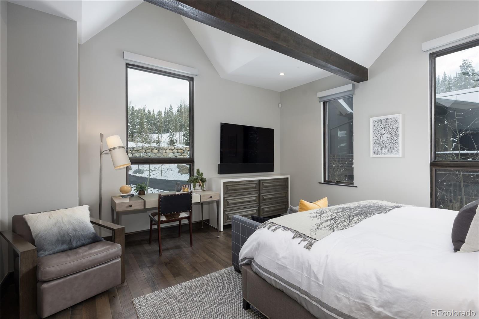 MLS Image #17 for 273  river park drive ,breckenridge, Colorado