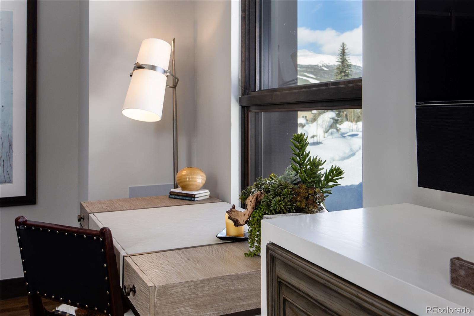 MLS Image #18 for 273  river park drive ,breckenridge, Colorado