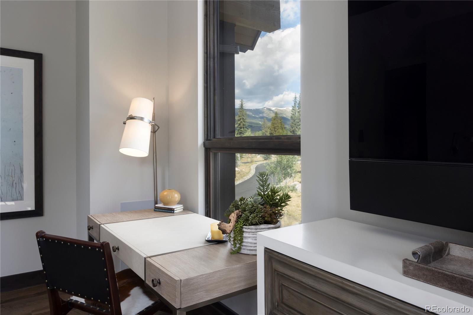 MLS Image #21 for 273  river park drive ,breckenridge, Colorado