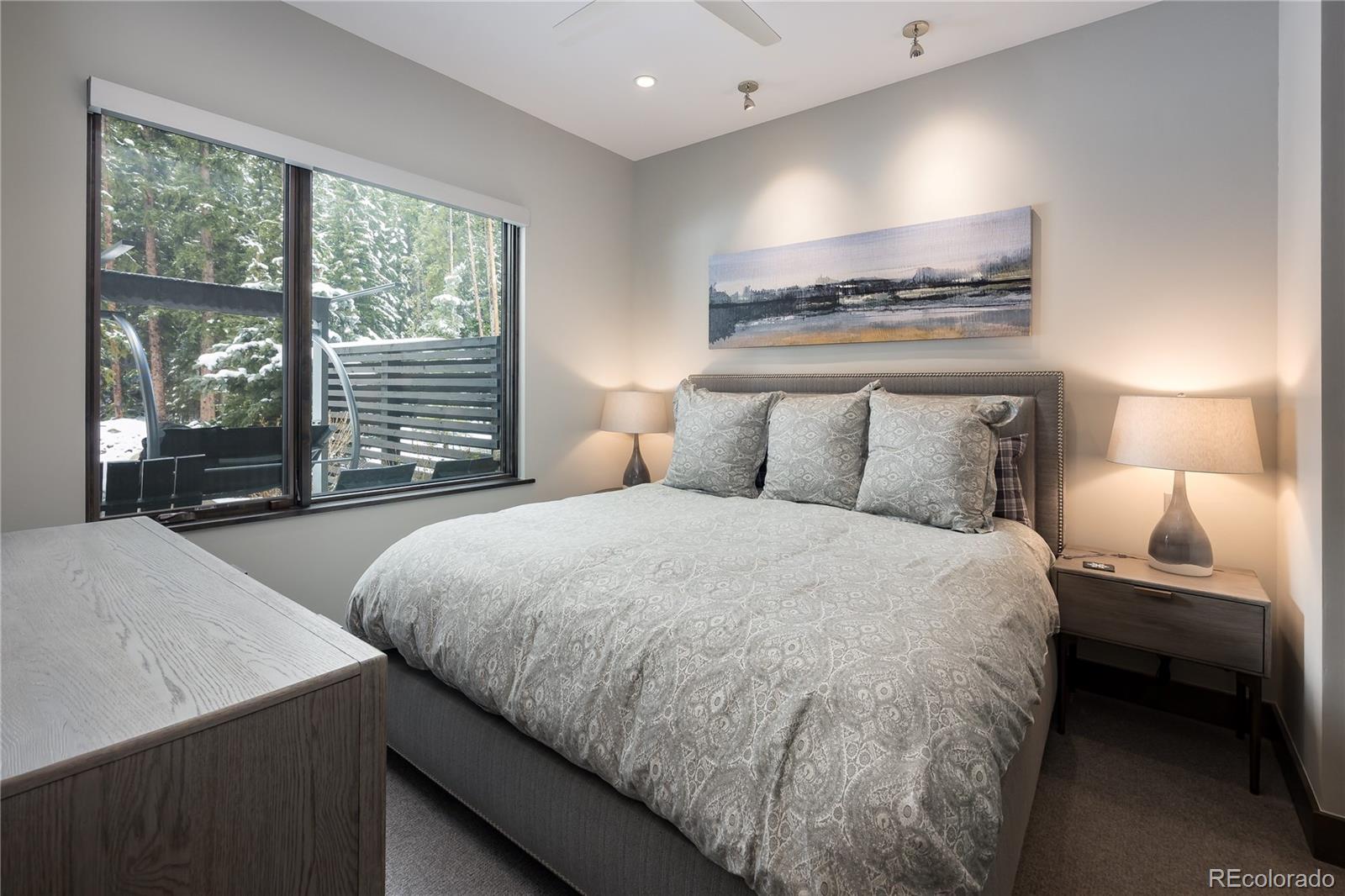 MLS Image #25 for 273  river park drive ,breckenridge, Colorado