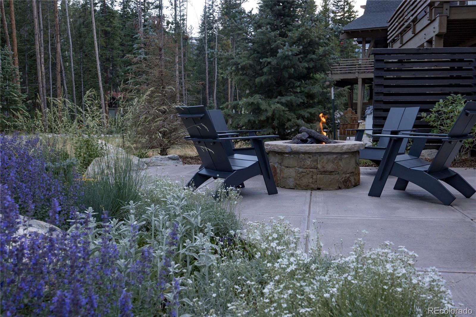 MLS Image #41 for 273  river park drive ,breckenridge, Colorado