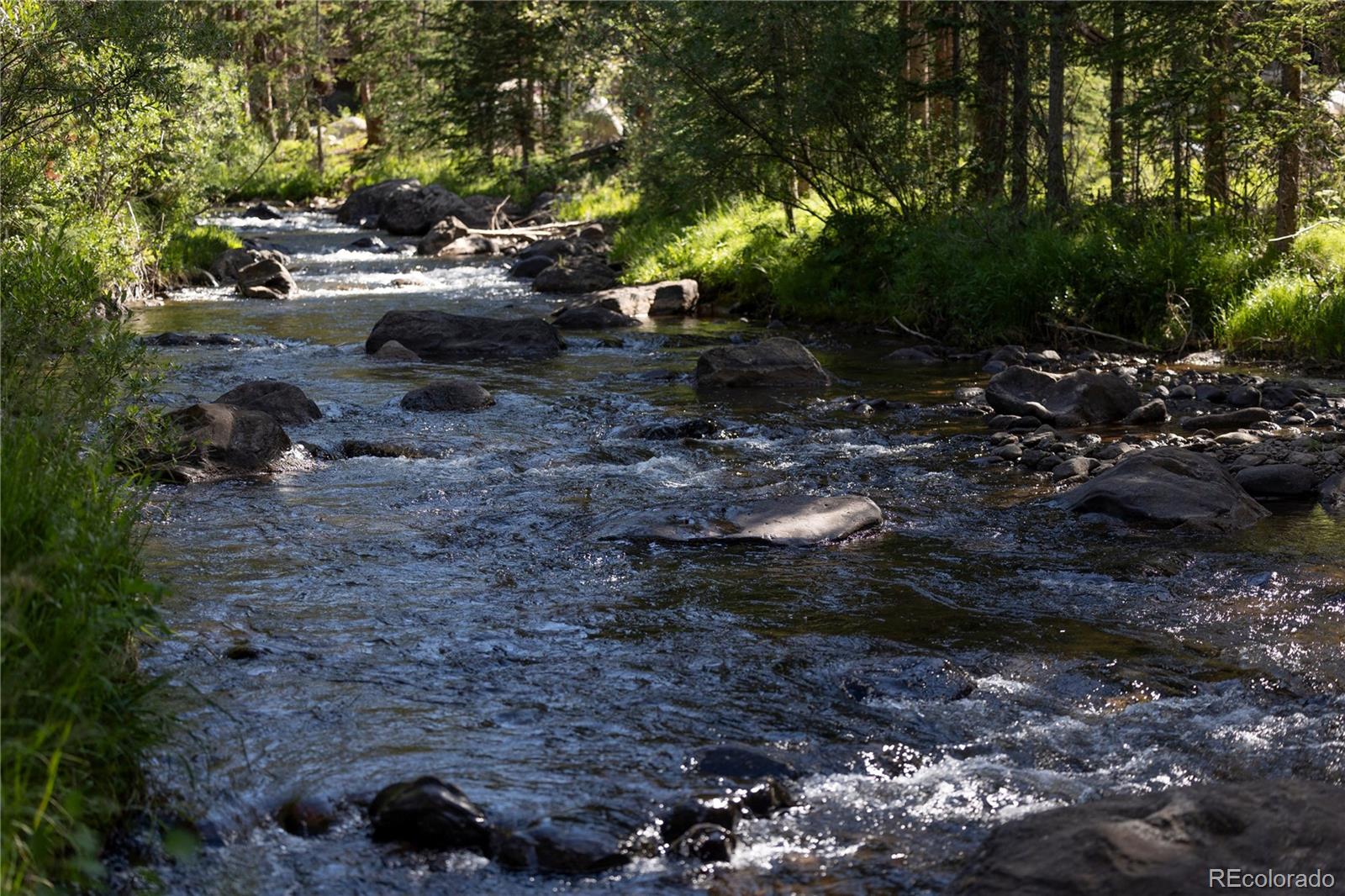 MLS Image #43 for 273  river park drive ,breckenridge, Colorado