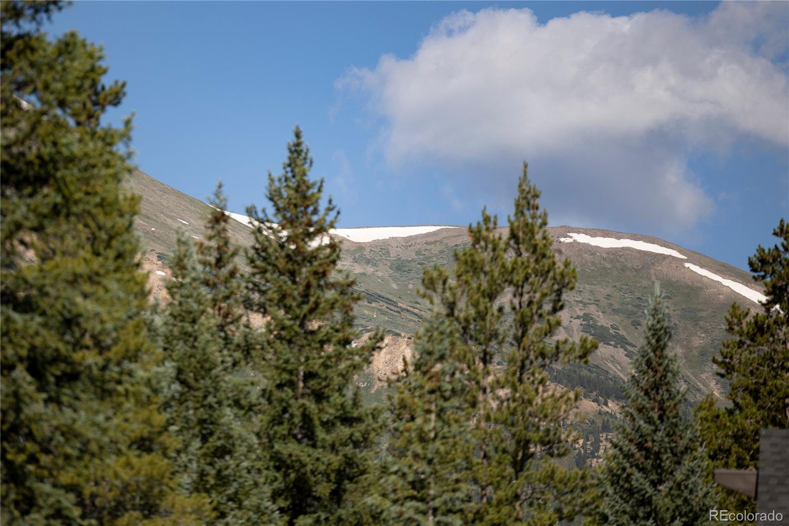 MLS Image #45 for 273  river park drive ,breckenridge, Colorado