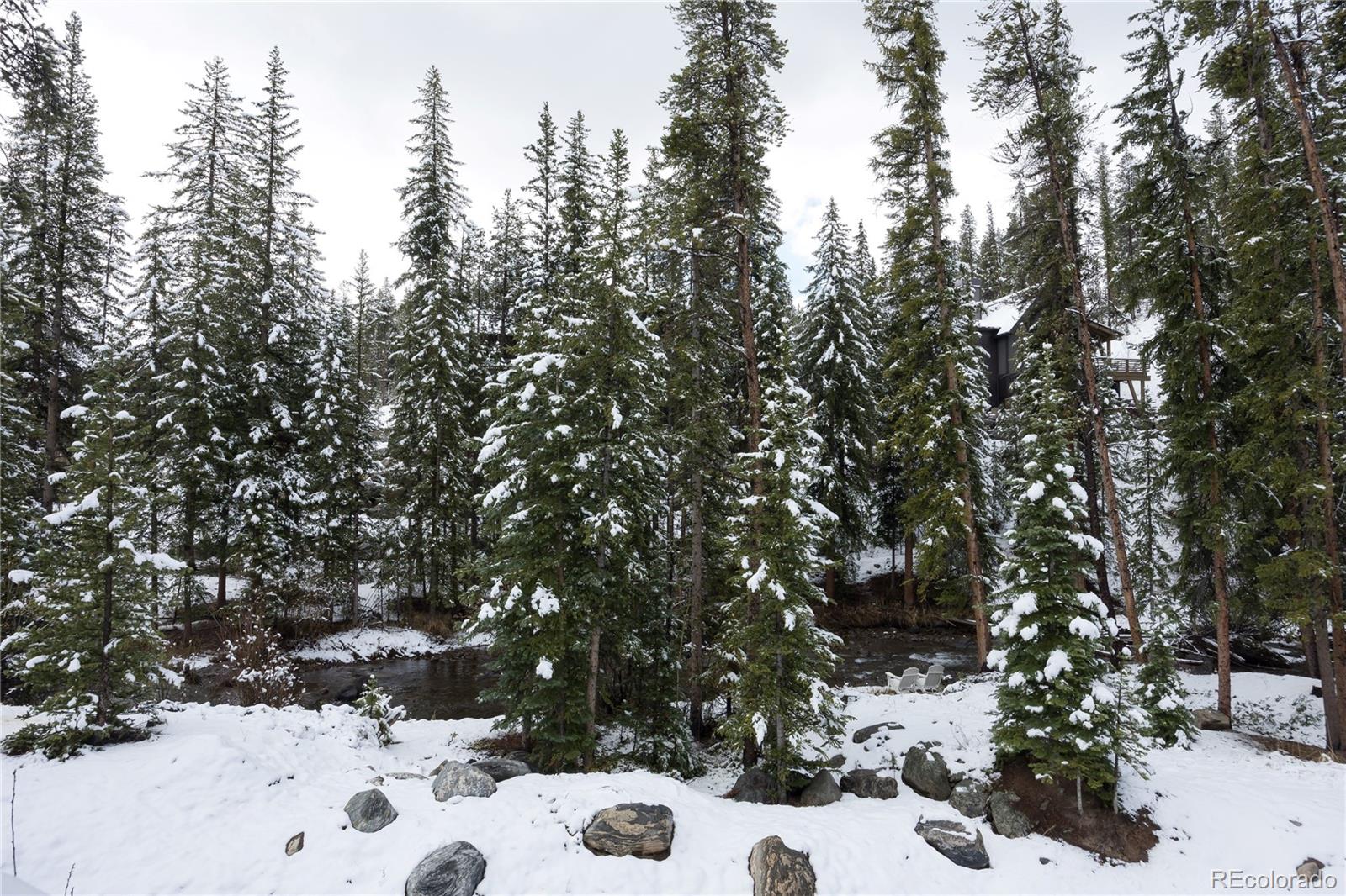 MLS Image #46 for 273  river park drive ,breckenridge, Colorado