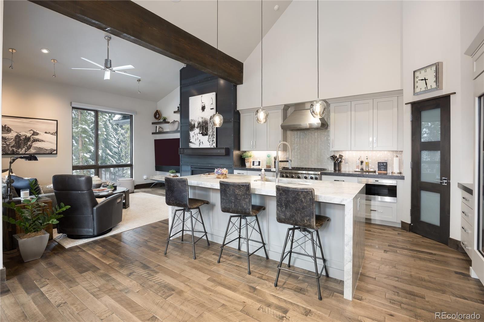 MLS Image #5 for 273  river park drive ,breckenridge, Colorado