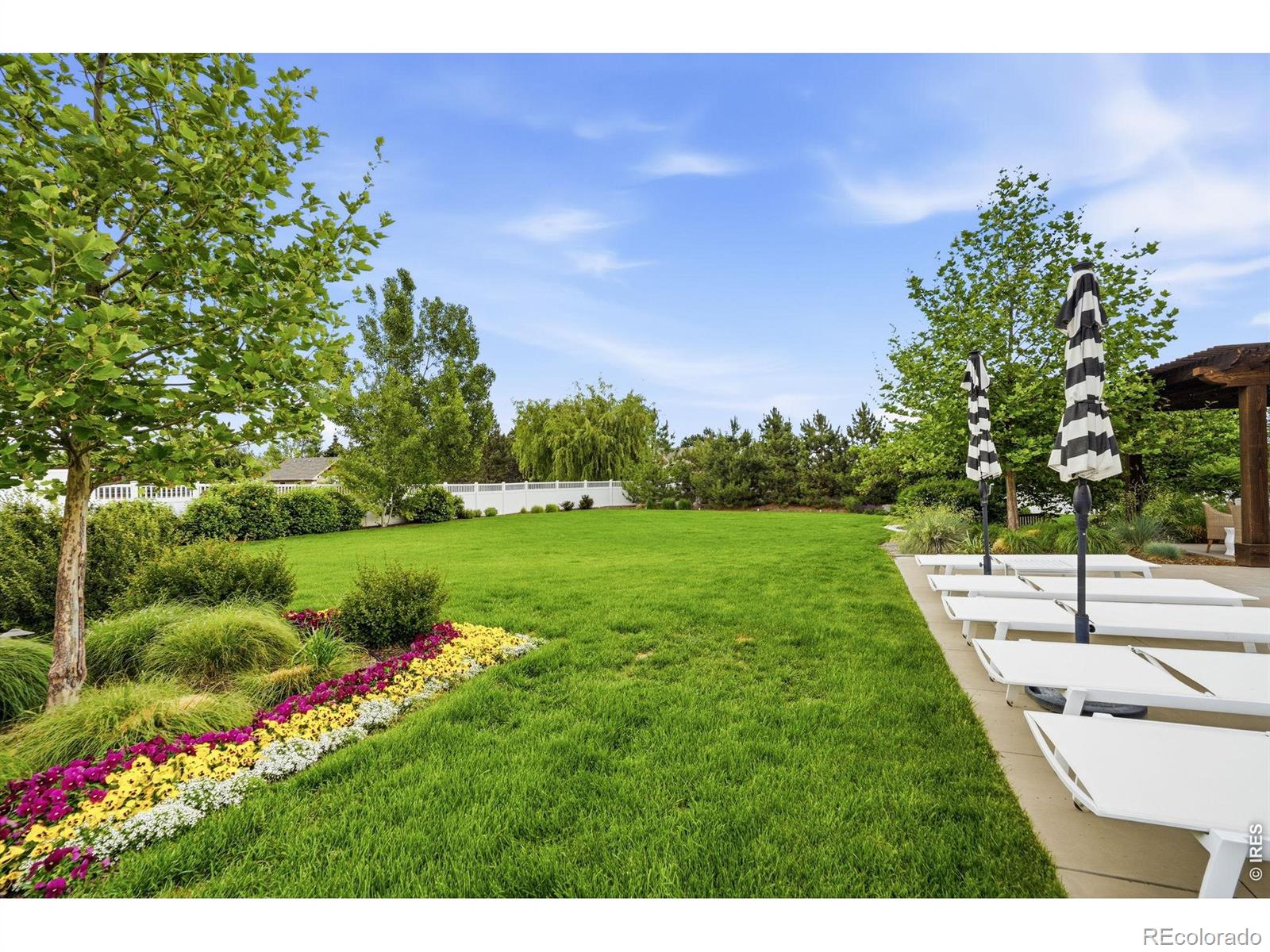 MLS Image #41 for 14570  clay street,broomfield, Colorado