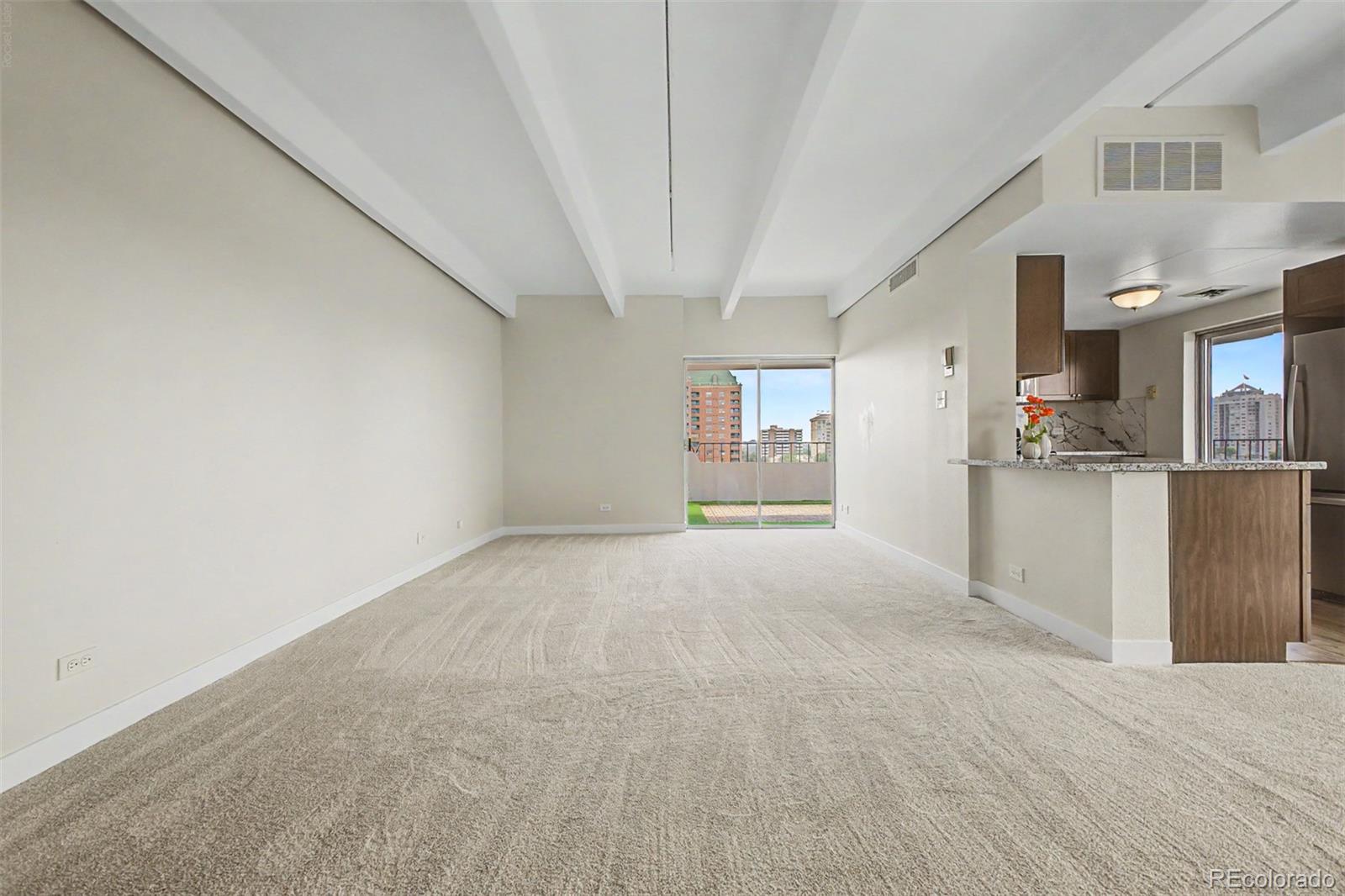 MLS Image #1 for 130 n pearl street 1103,denver, Colorado