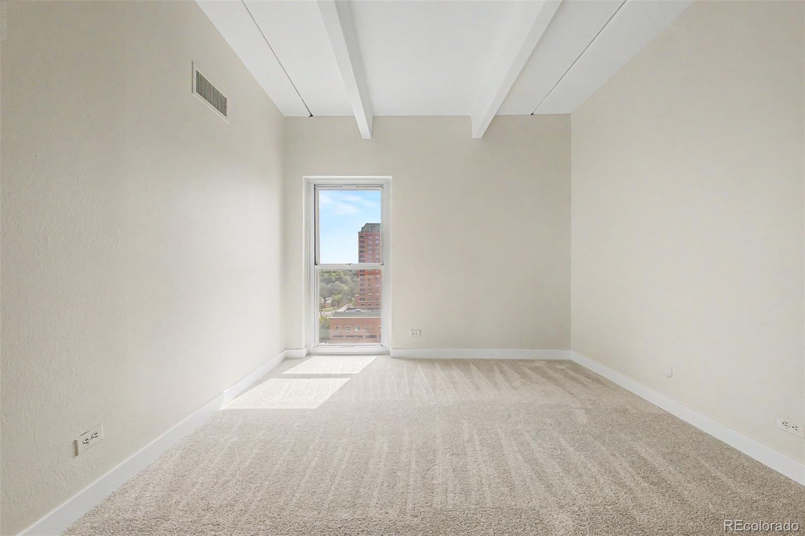 MLS Image #19 for 130 n pearl street 1103,denver, Colorado