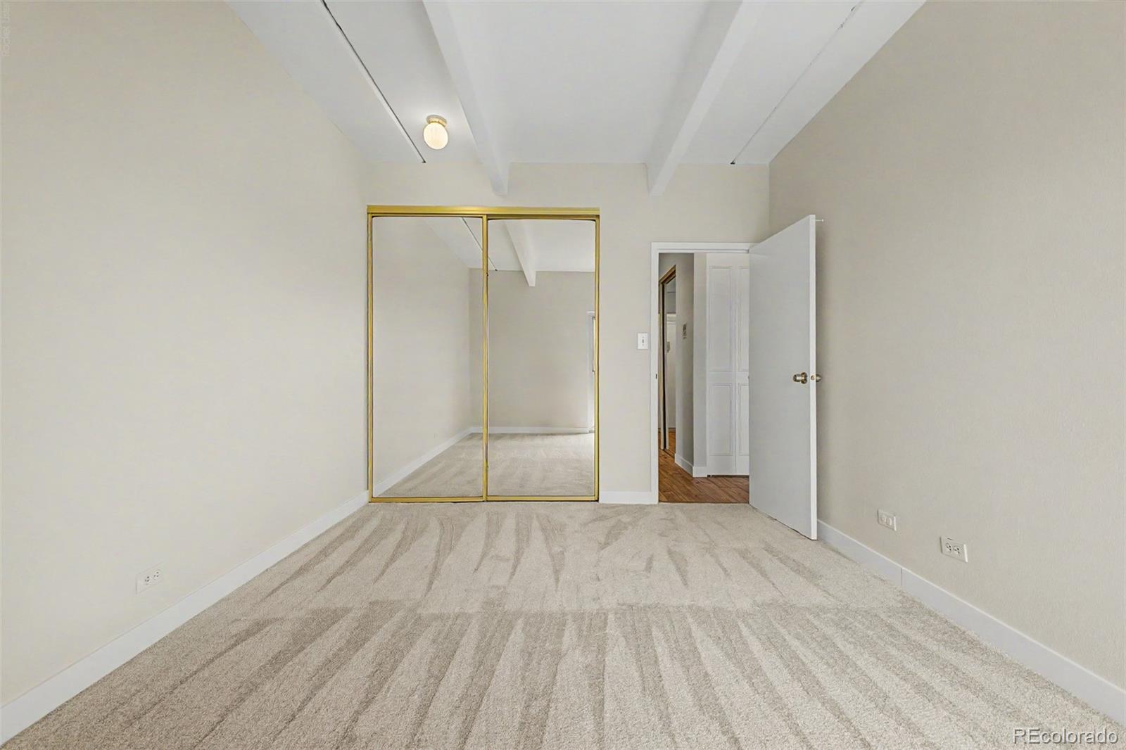 MLS Image #20 for 130 n pearl street 1103,denver, Colorado