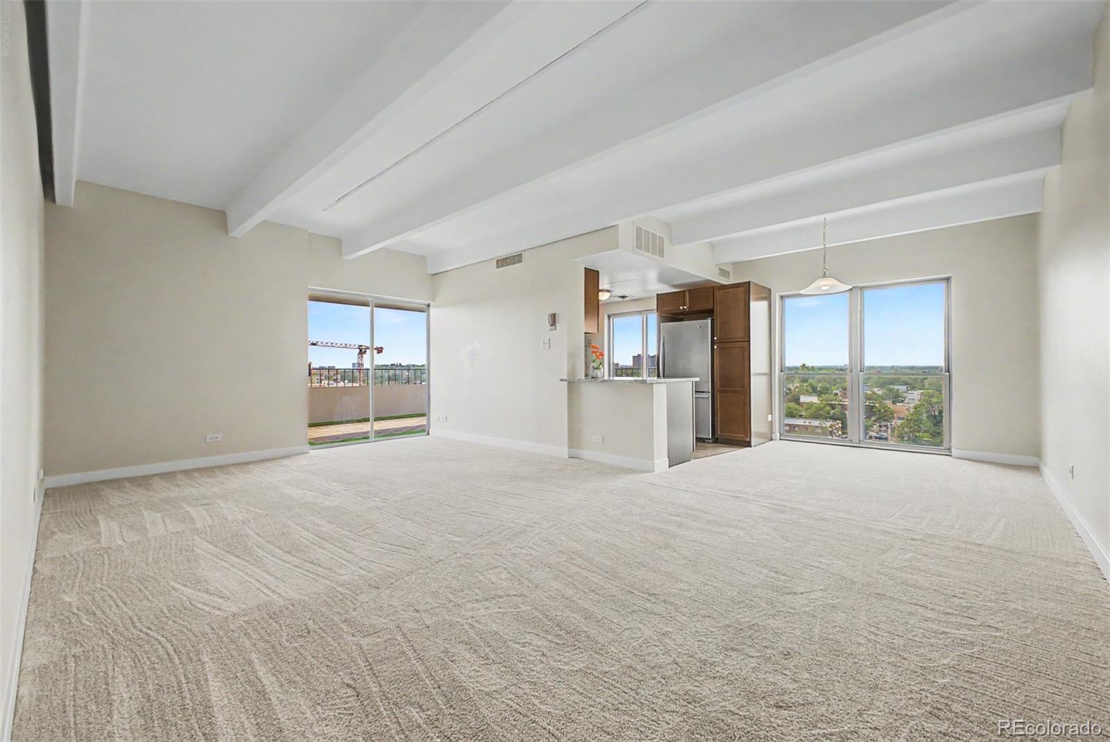 MLS Image #6 for 130 n pearl street 1103,denver, Colorado
