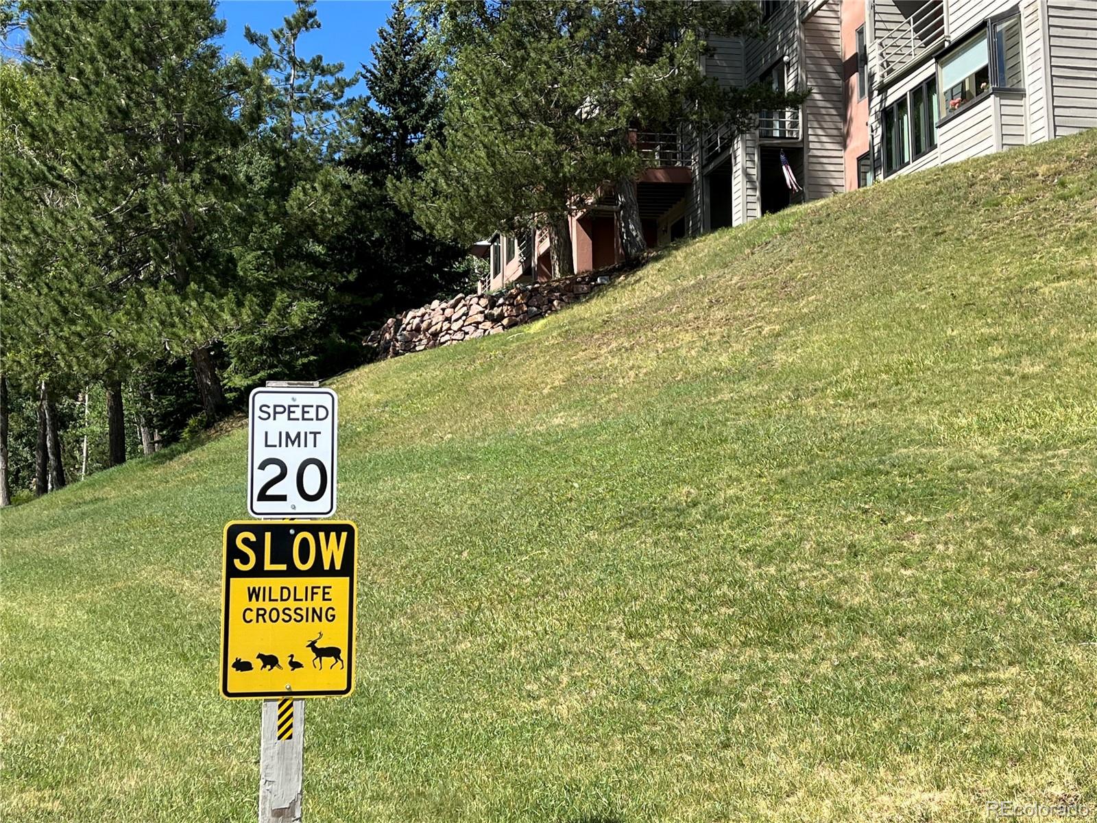 MLS Image #39 for 752  ridgeside drive ,golden, Colorado