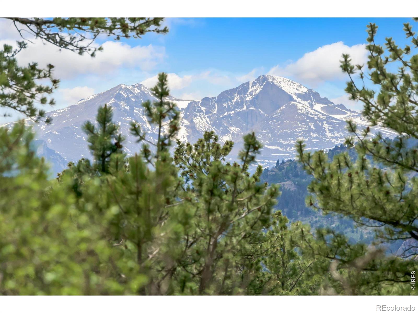 MLS Image #18 for 2606  storm mountain drive,drake, Colorado