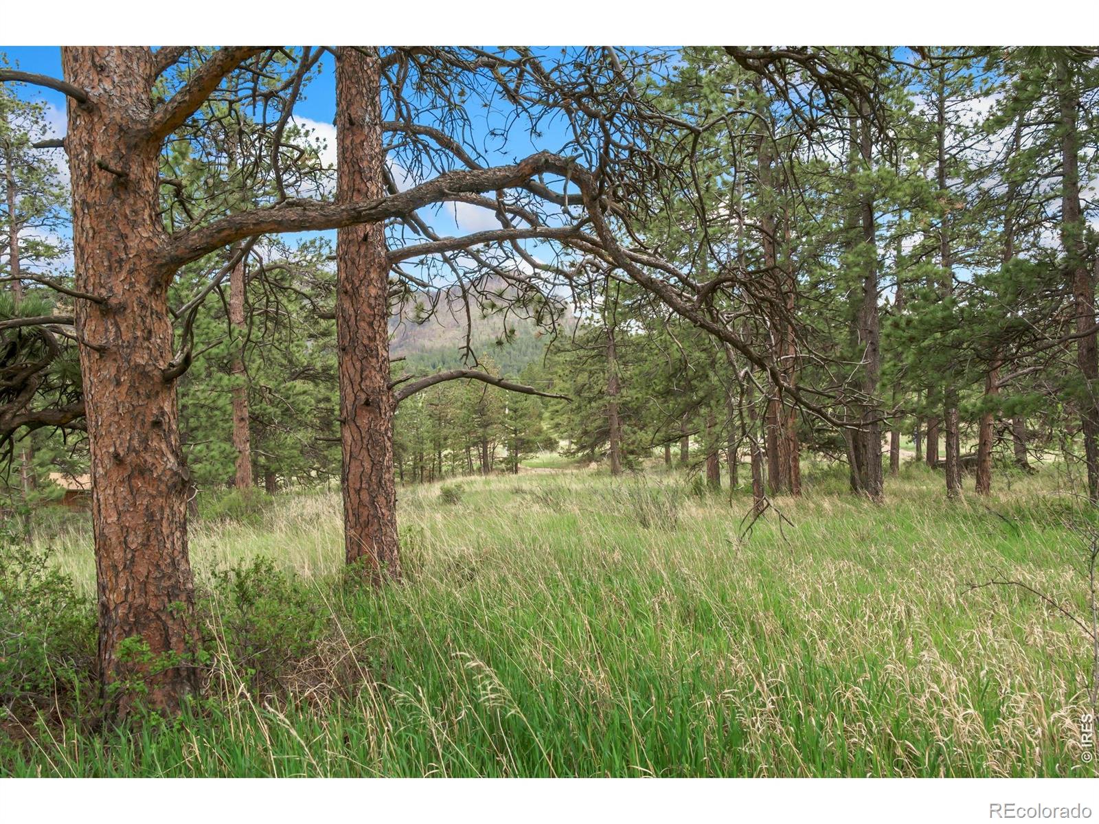 MLS Image #33 for 2606  storm mountain drive,drake, Colorado
