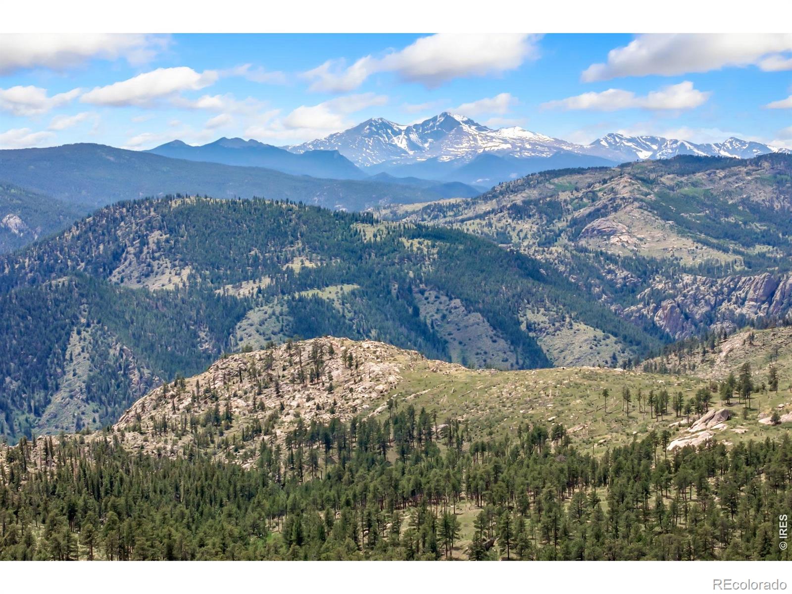 MLS Image #42 for 2606  storm mountain drive,drake, Colorado