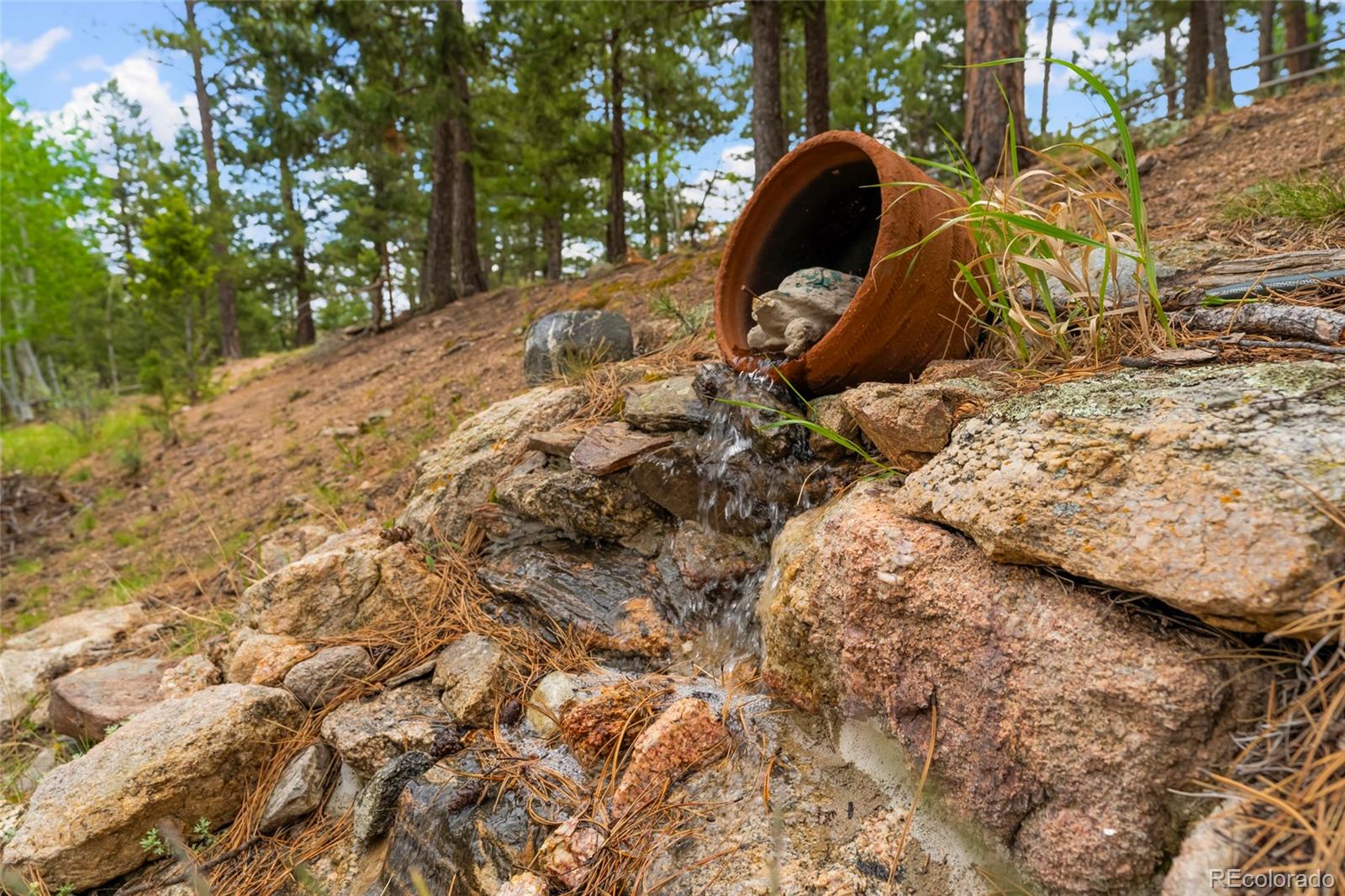 MLS Image #37 for 4805  county road 72 ,bailey, Colorado