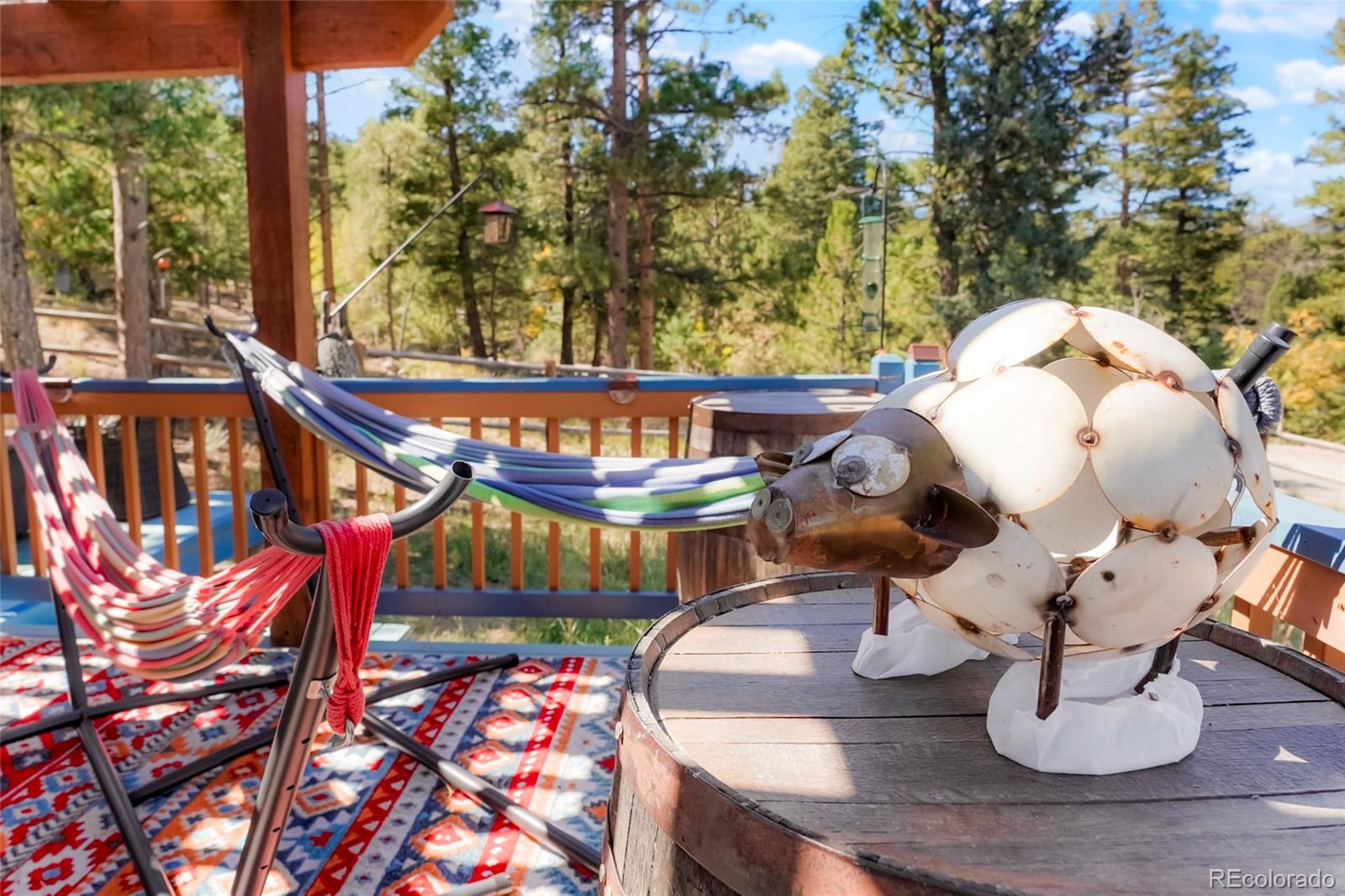 MLS Image #6 for 4805  county road 72 ,bailey, Colorado