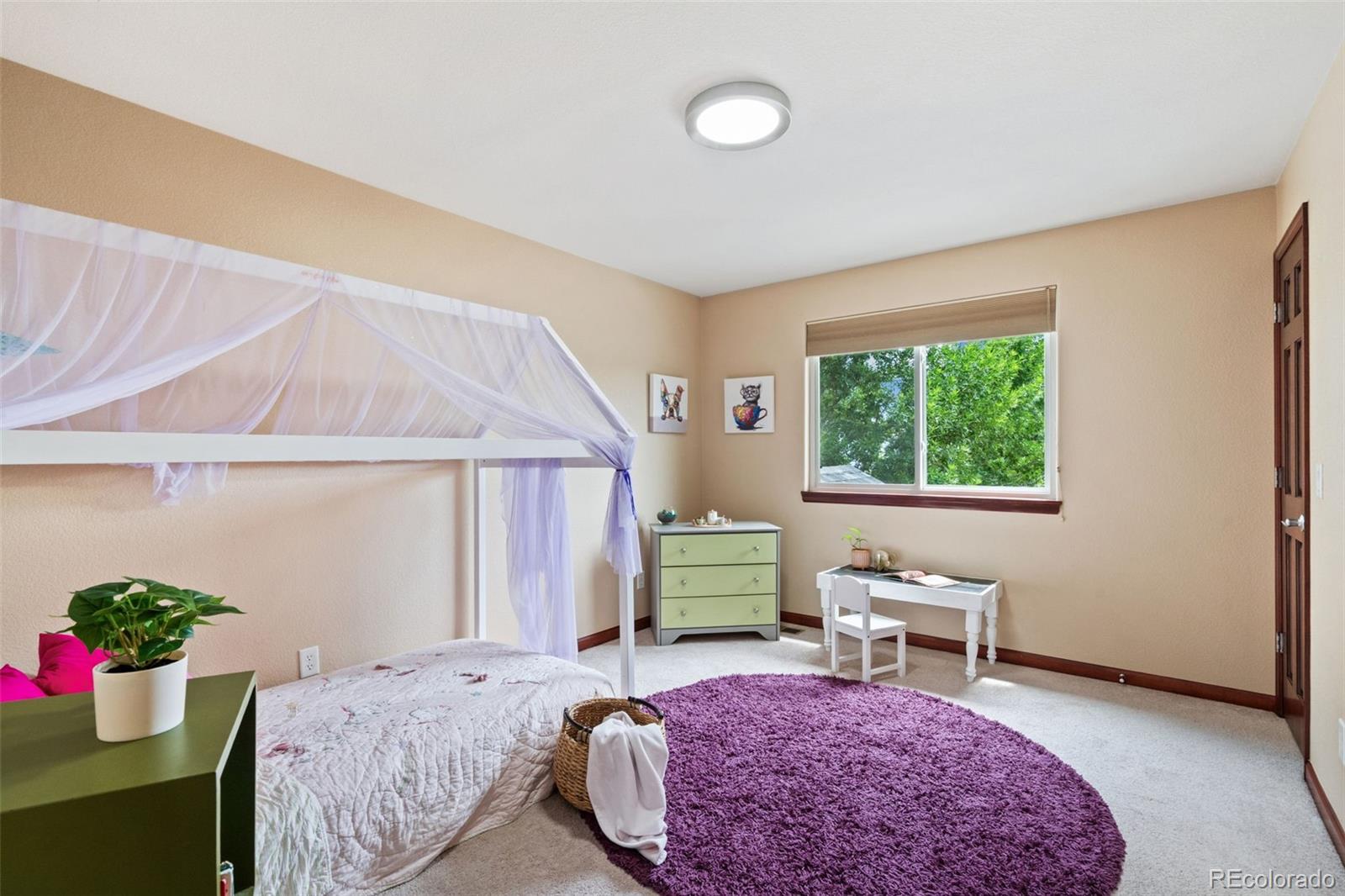 MLS Image #25 for 2765  dafina drive,loveland, Colorado