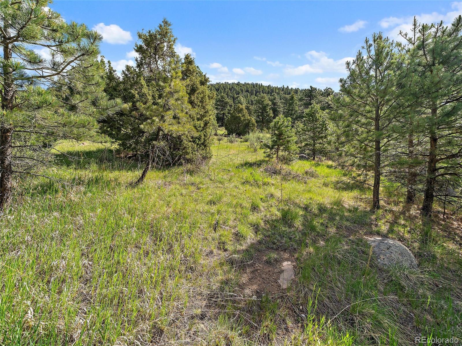 MLS Image #23 for 26000  edelweiss circle,evergreen, Colorado