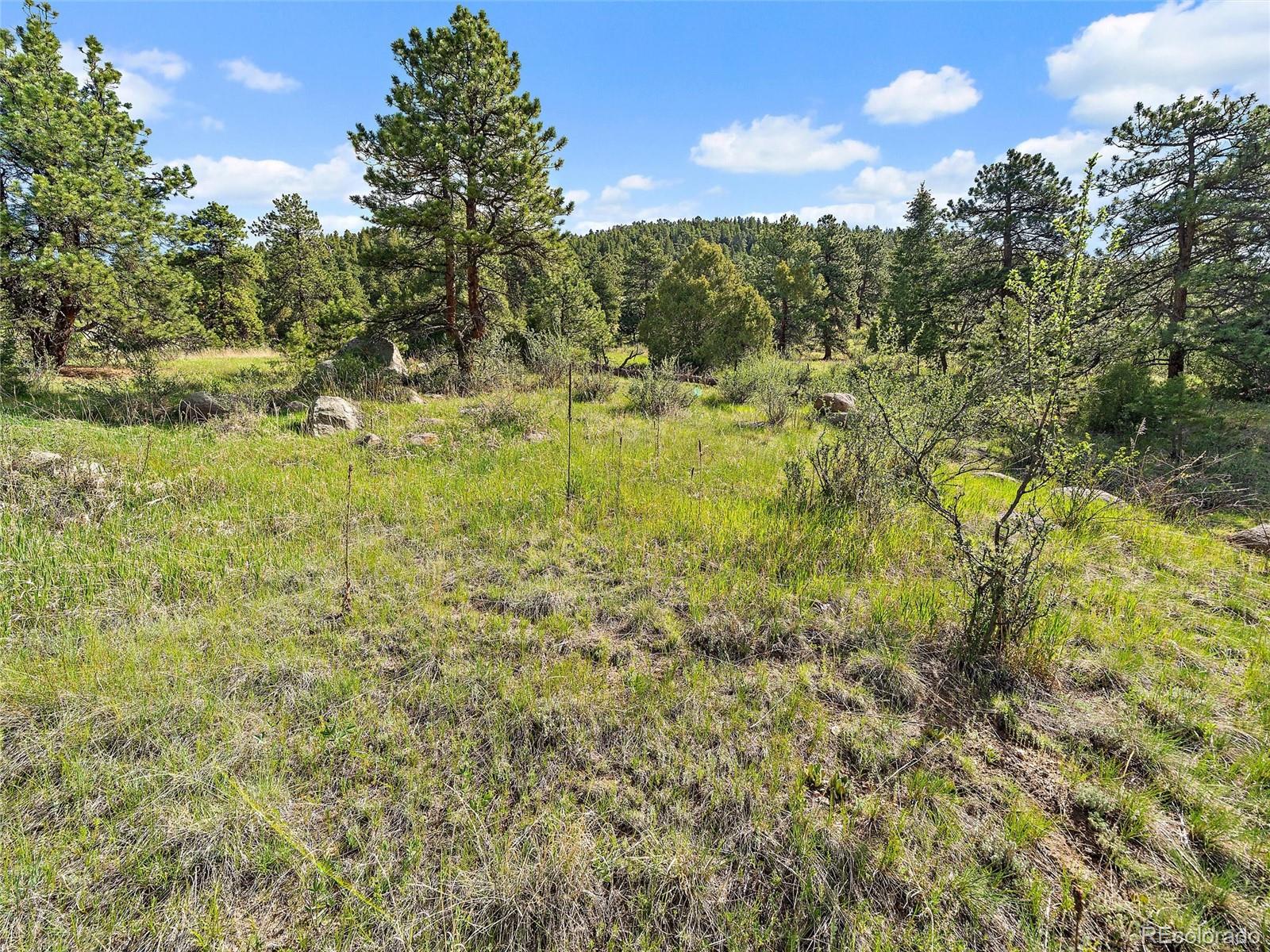 MLS Image #26 for 26000  edelweiss circle,evergreen, Colorado