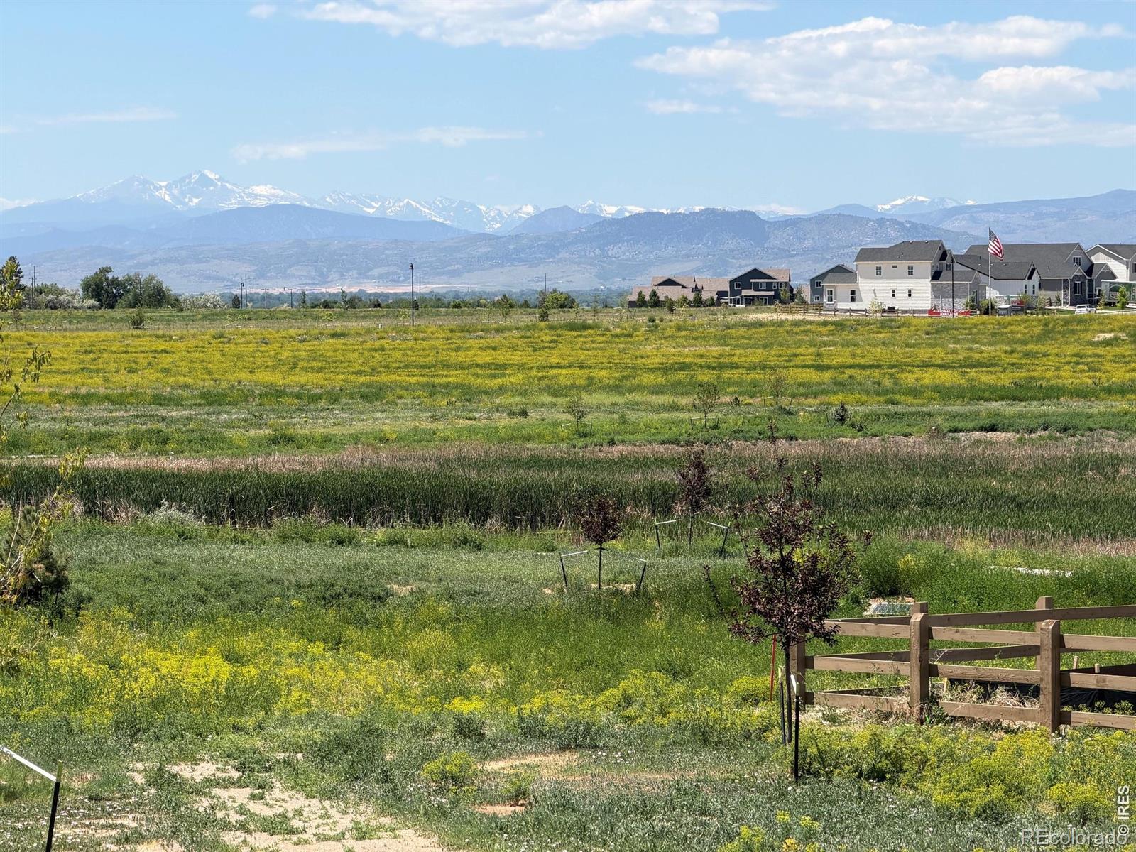 MLS Image #6 for 1365  weller court,timnath, Colorado