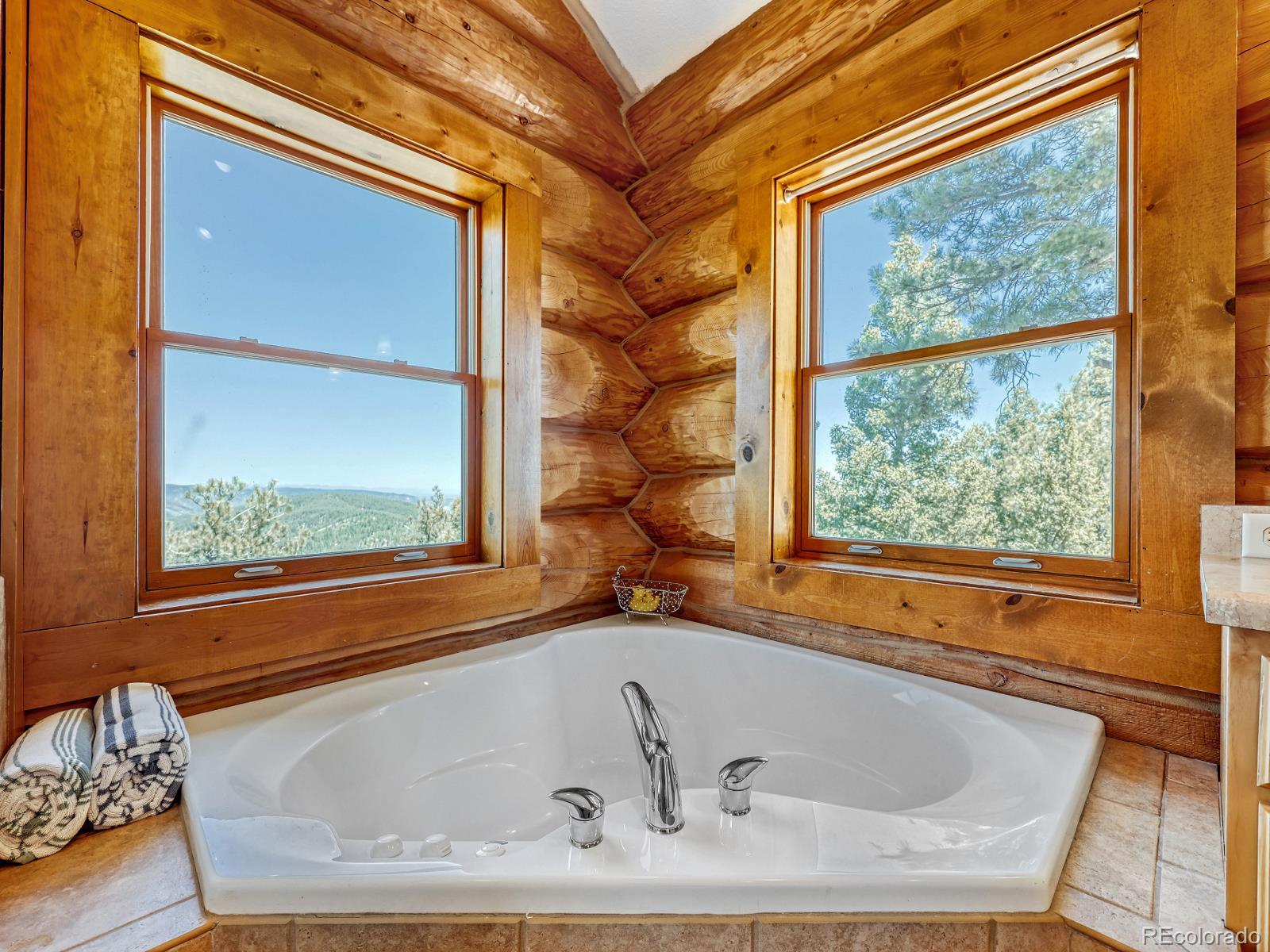 MLS Image #10 for 13035  deer ridge way,larkspur, Colorado